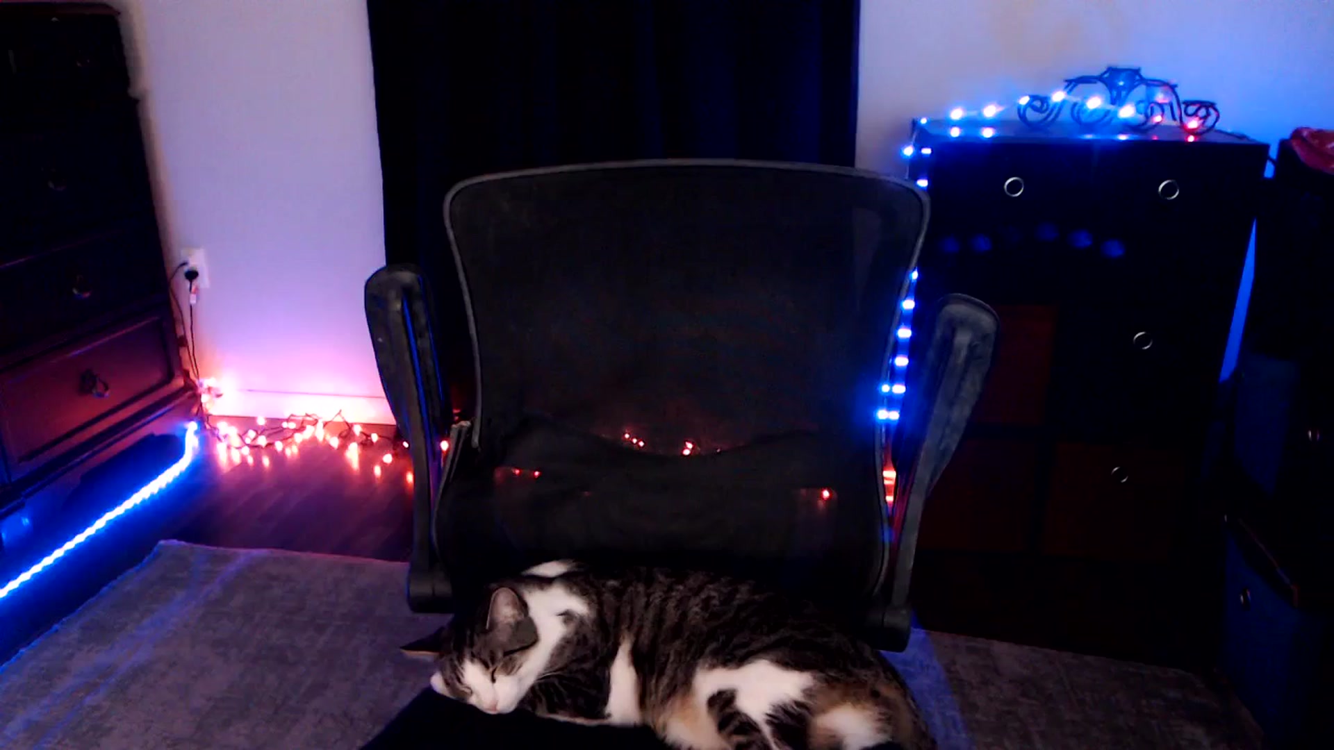 Gallery image thumbnail from SouthernSkye's myfreecams stream on, 03/13/2026, 06:58 image 10 of 20