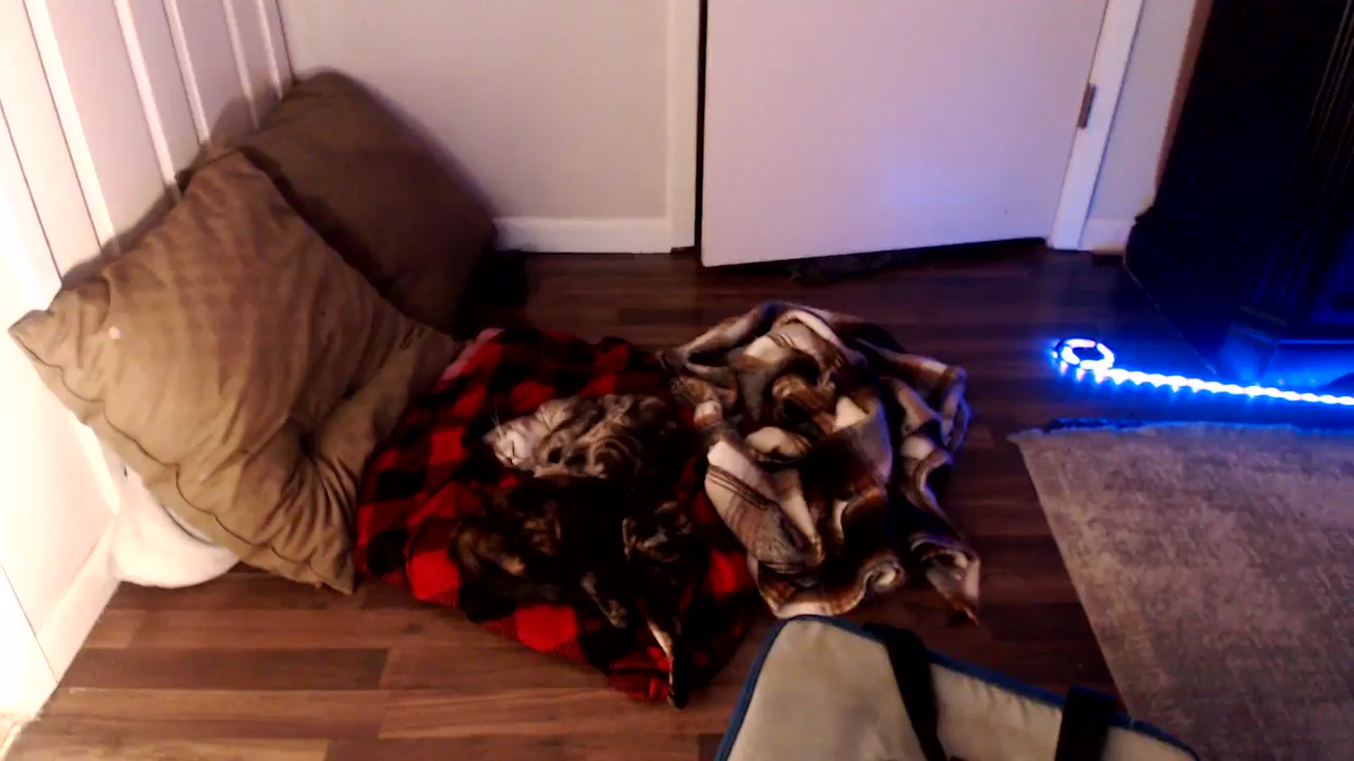 Gallery image thumbnail from SouthernSkye's myfreecams stream on, 04/14/2026, 08:27 image 2 of 20