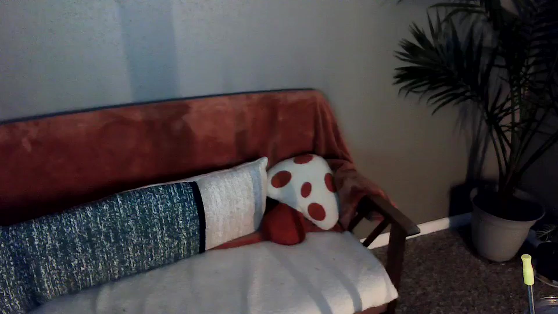 Gallery image thumbnail from SouthernmilfK's myfreecams stream on, 04/21/2025, 08:58 image 9 of 20