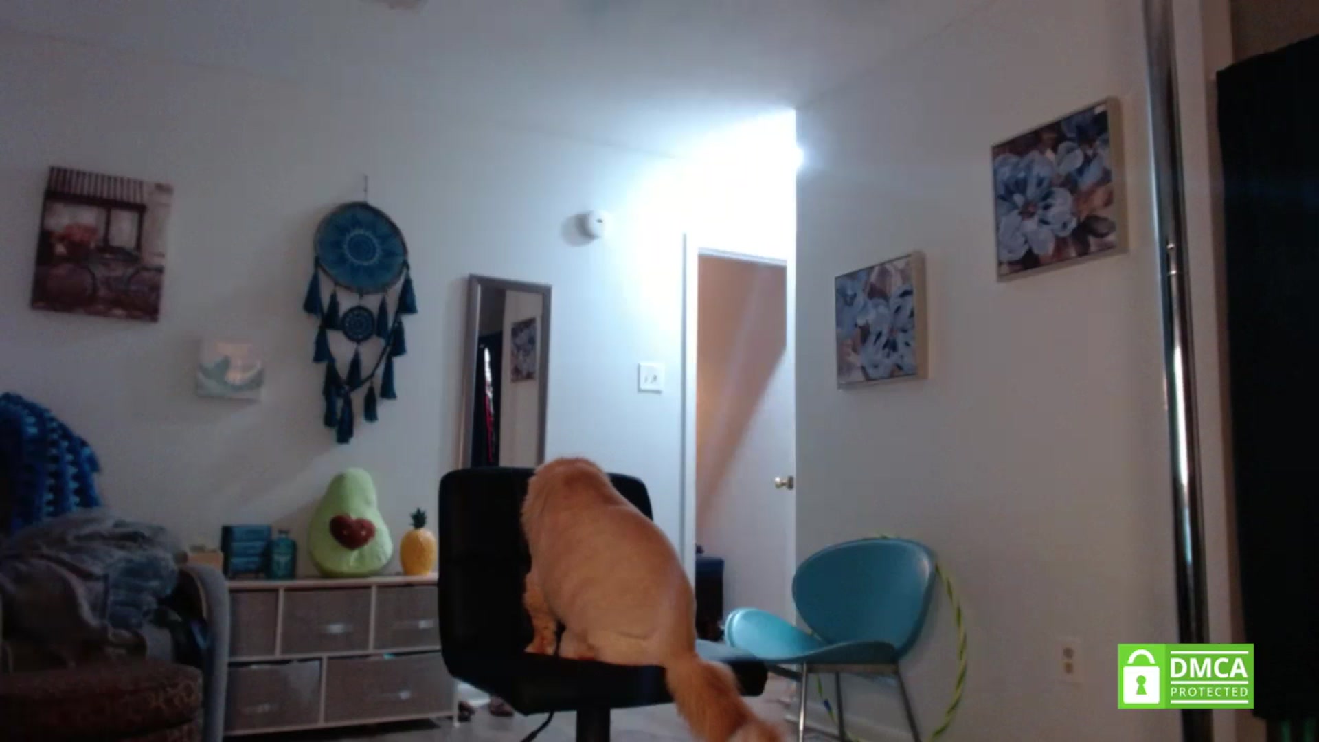 Gallery image thumbnail from Southernms's myfreecams stream on, 07/07/2023, 07:00 image 11 of 20