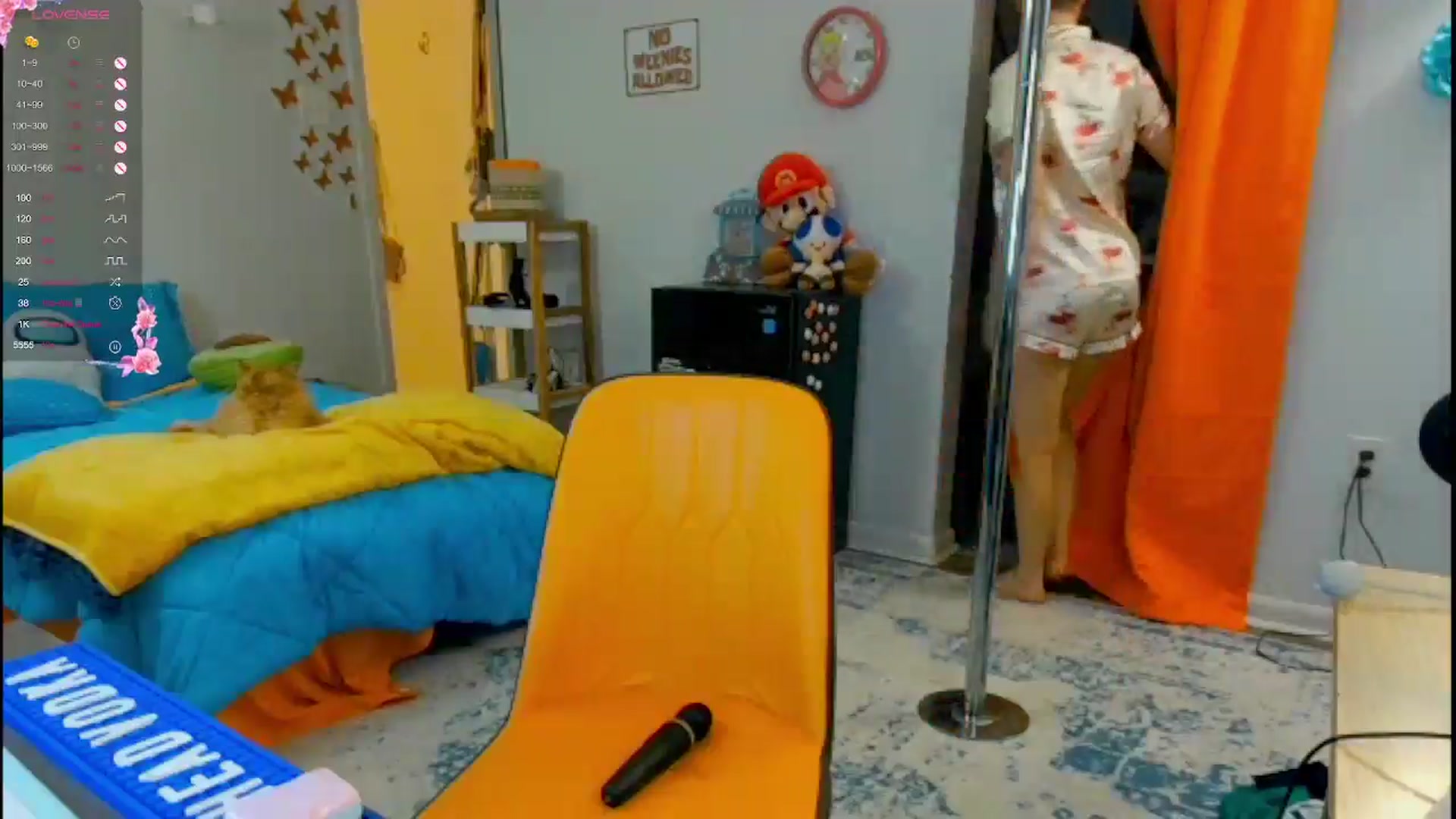 Gallery image thumbnail from Southernms's myfreecams stream on, 05/08/2024, 08:15 image 11 of 20