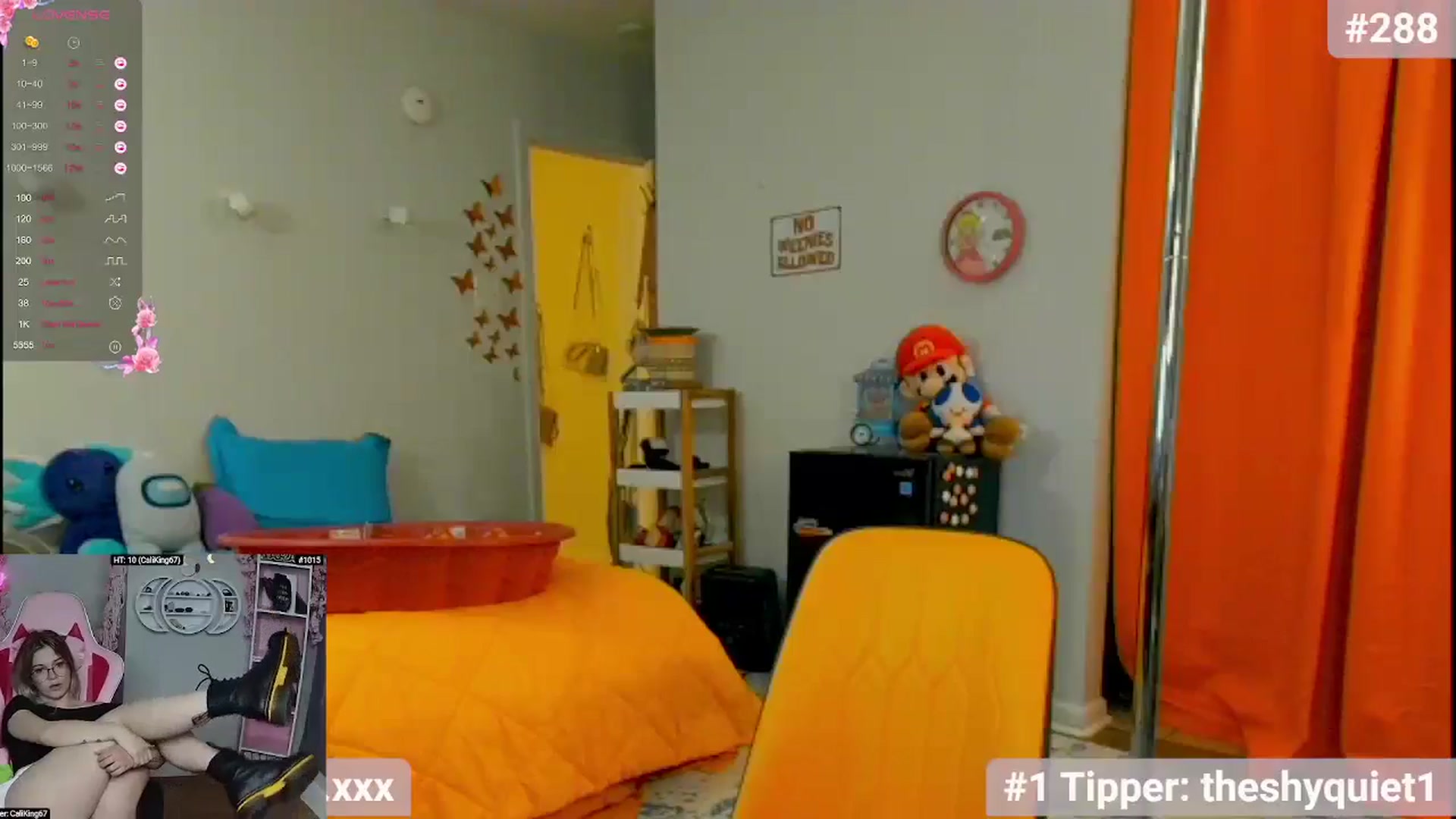 Gallery image thumbnail from Southernms's myfreecams stream on, 05/16/2024, 02:08 image 3 of 20