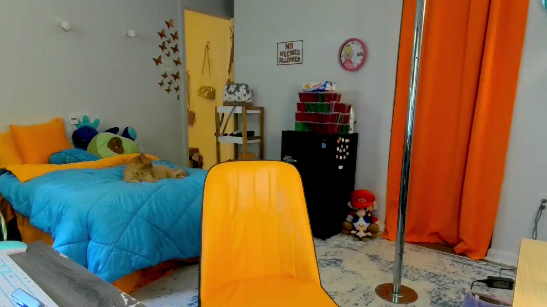 Gallery image thumbnail from Southernms's myfreecams stream on, 05/30/2024, 20:32 image 14 of 20