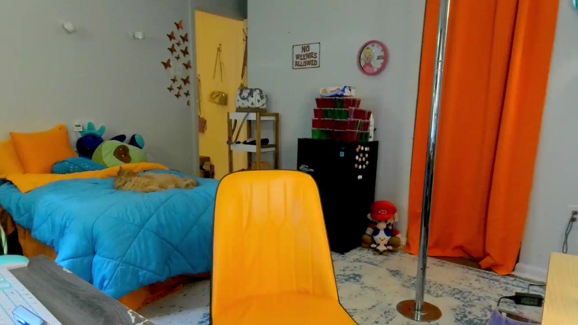 Gallery image thumbnail from Southernms's myfreecams stream on, 05/30/2024, 20:32 image 13 of 20