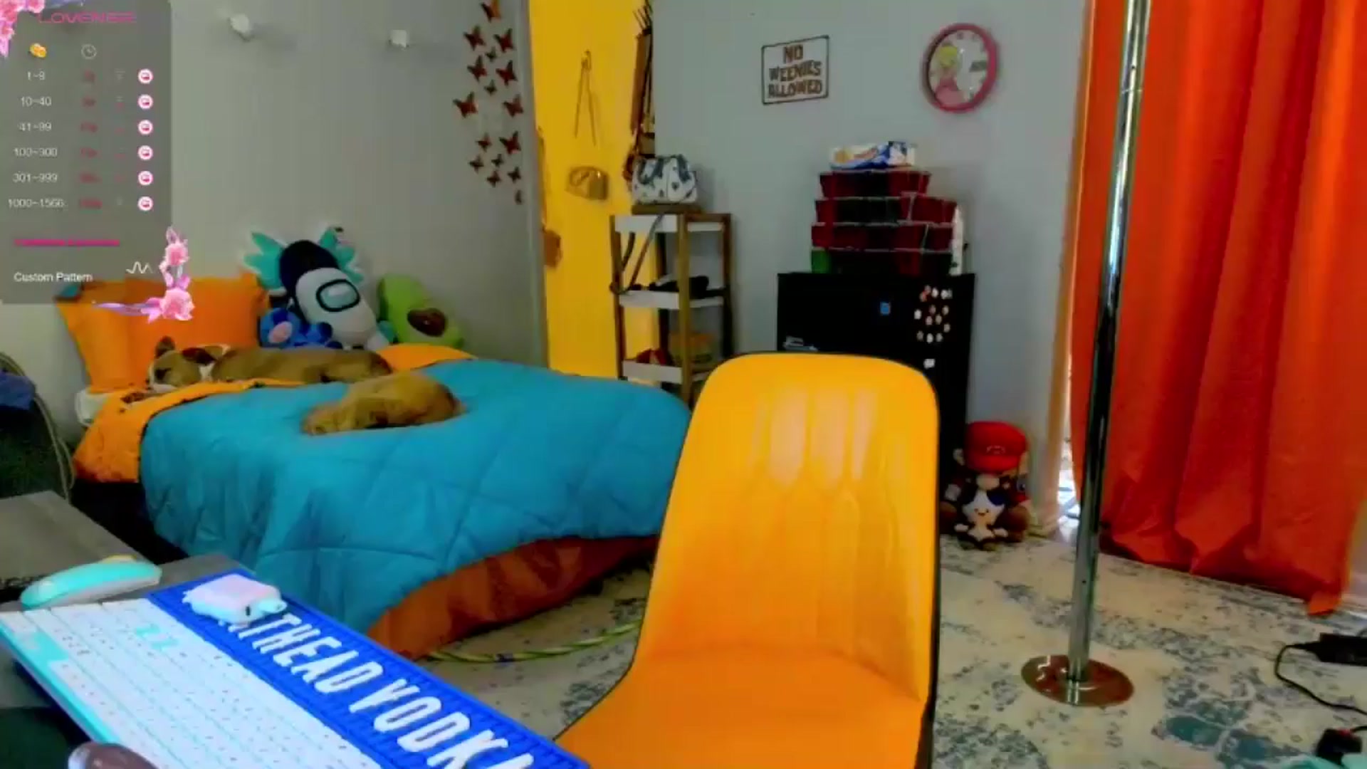 Gallery image thumbnail from Southernms's myfreecams stream on, 06/01/2024, 03:27 image 15 of 20