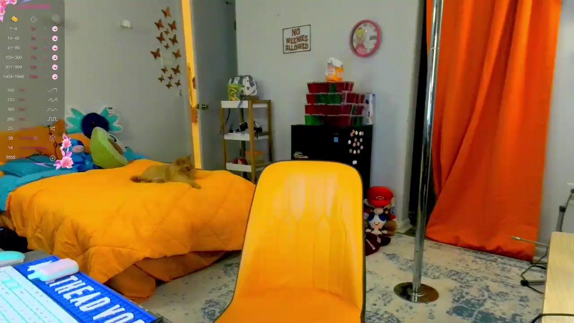 Gallery image thumbnail from Southernms's myfreecams stream on, 06/04/2024, 03:37 image 17 of 20