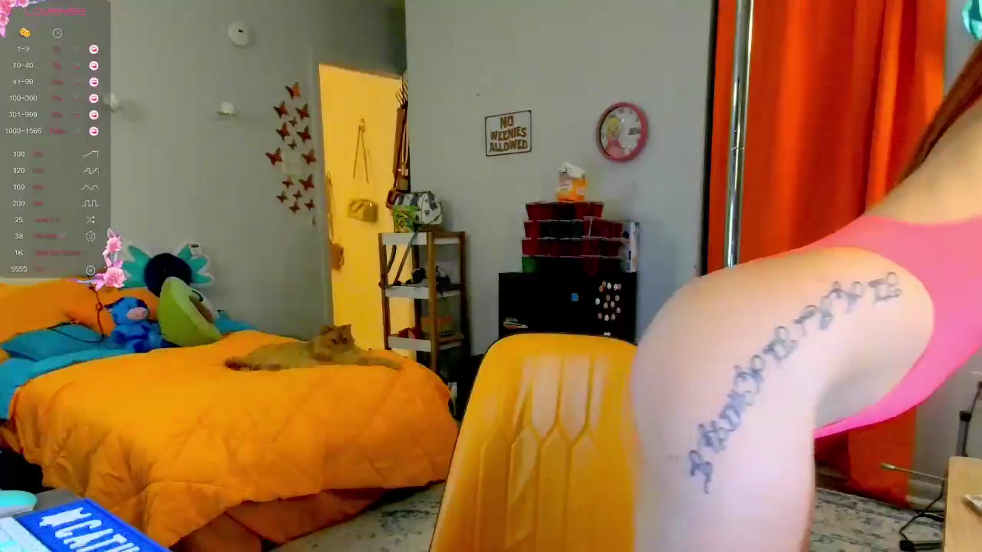 Gallery image thumbnail from Southernms's myfreecams stream on, 06/04/2024, 03:37 image 20 of 20