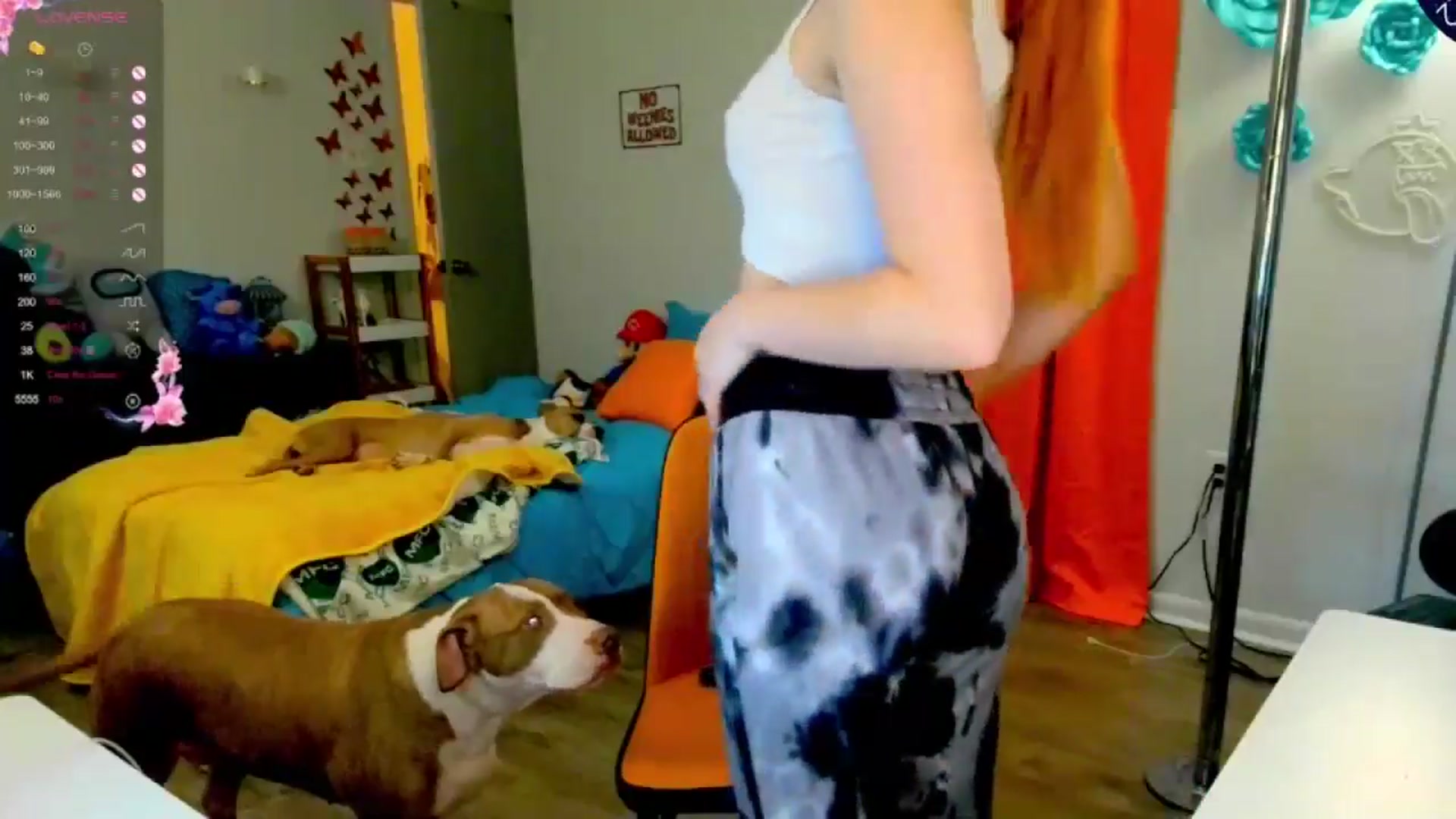 Gallery image thumbnail from Southernms's myfreecams stream on, 06/14/2024, 22:59 image 3 of 20