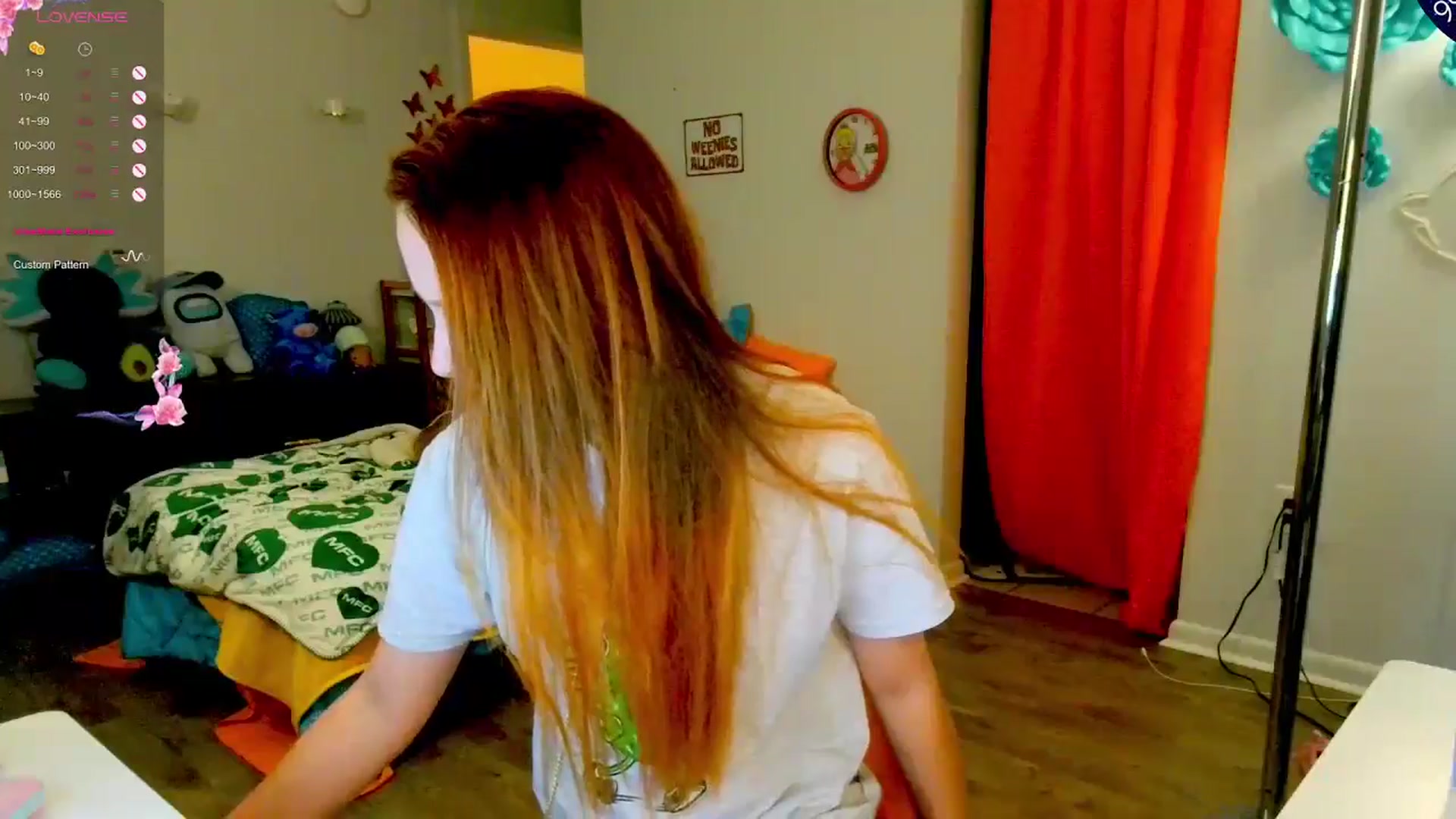 Gallery image thumbnail from Southernms's myfreecams stream on, 06/17/2024, 05:41 image 16 of 20