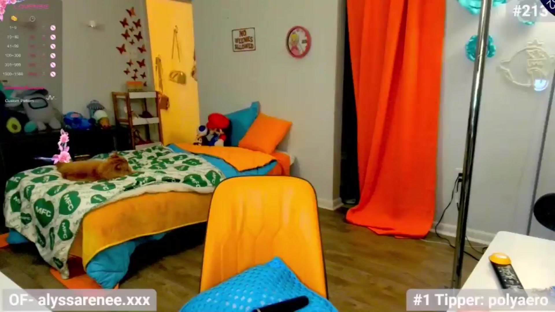 Gallery image thumbnail from Southernms's myfreecams stream on, 06/18/2024, 03:27 image 12 of 20