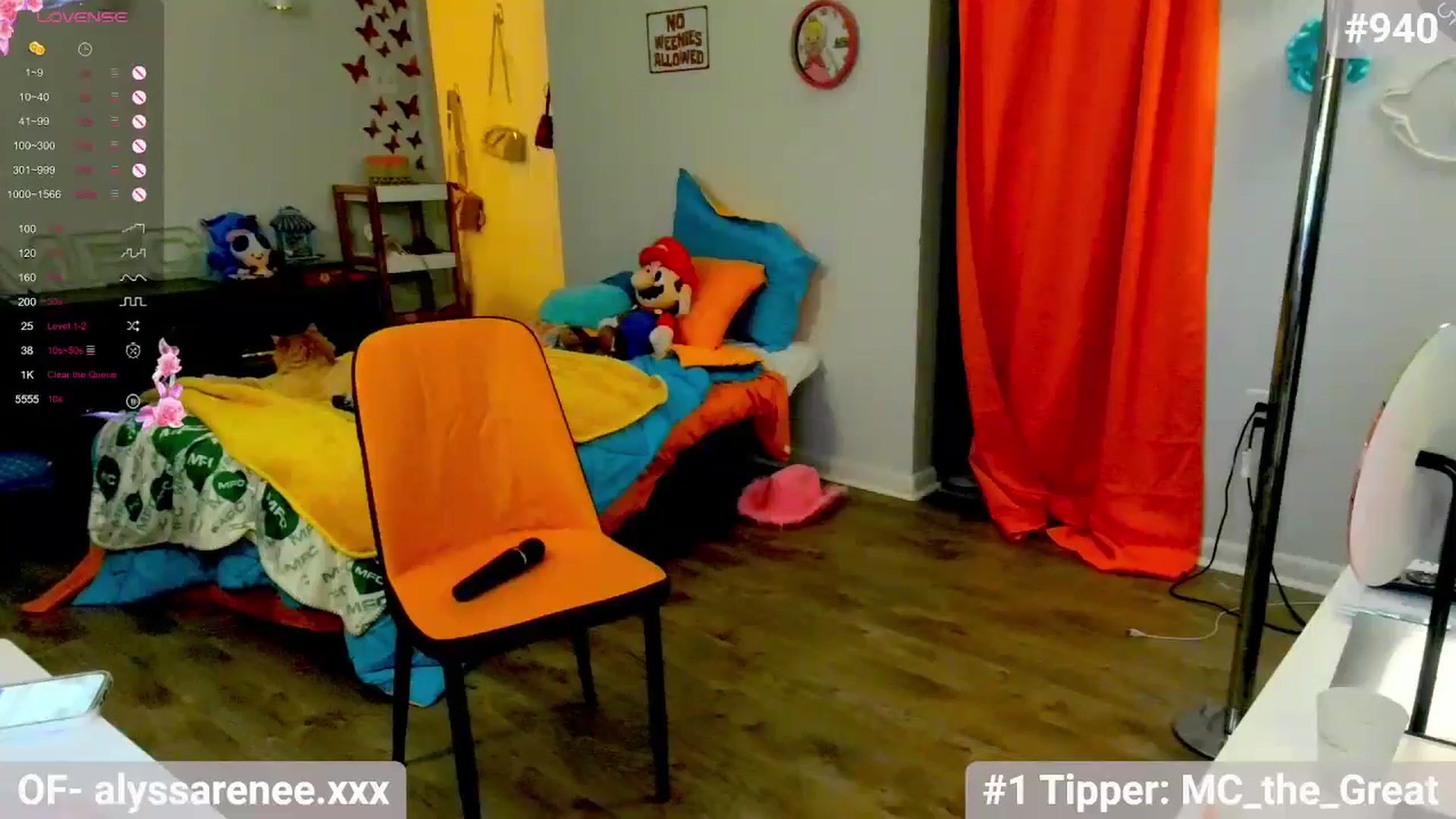 Gallery image thumbnail from Southernms's myfreecams stream on, 07/03/2024, 02:51 image 18 of 20