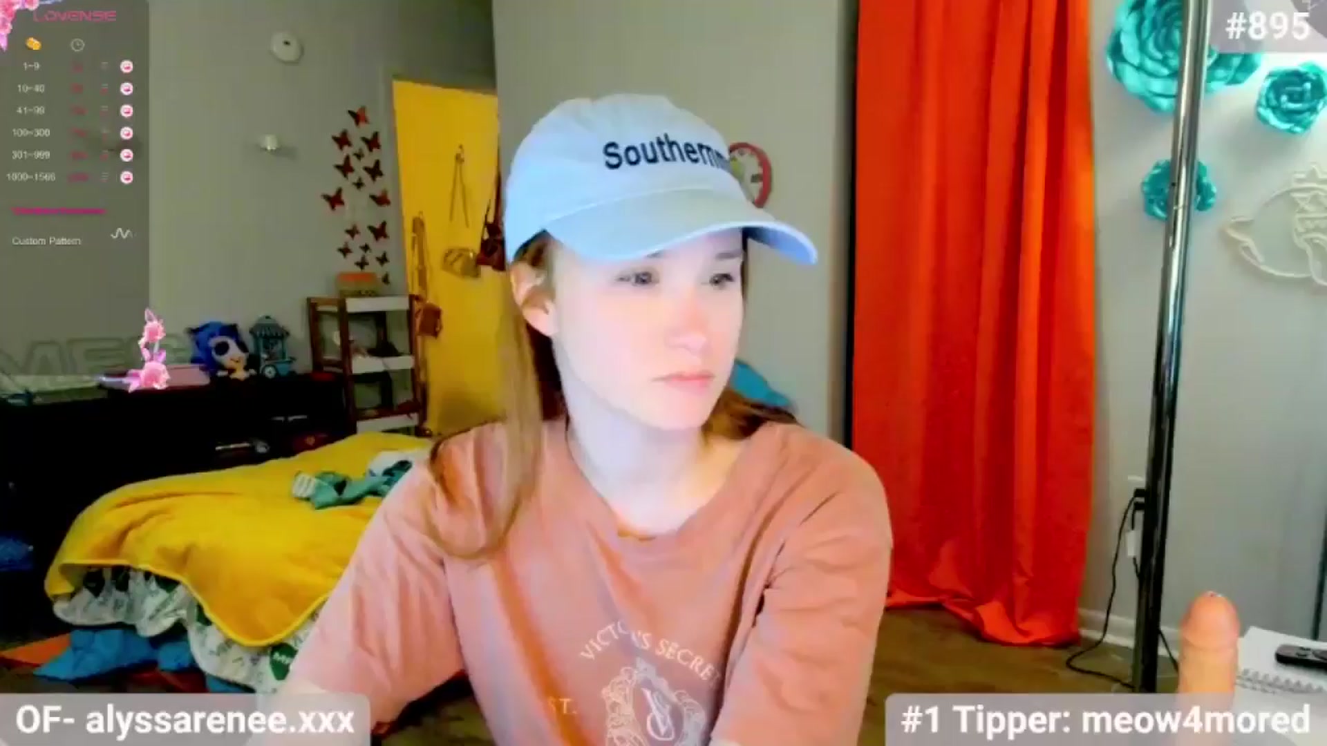 Gallery image thumbnail from Southernms's myfreecams stream on, 07/03/2024, 21:02 image 1 of 20