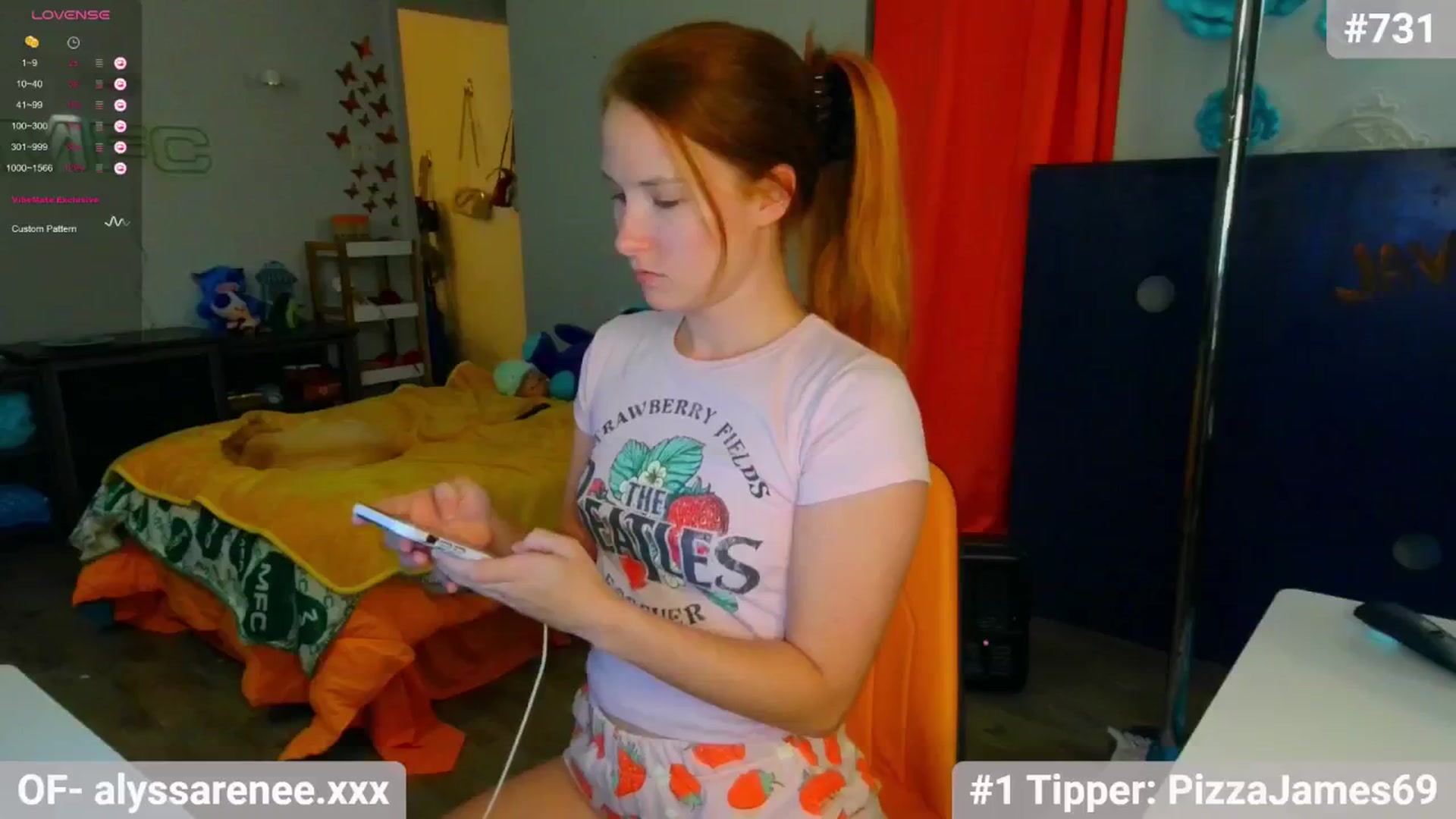 Gallery image thumbnail from Southernms's myfreecams stream on, 07/07/2024, 07:25 image 9 of 20
