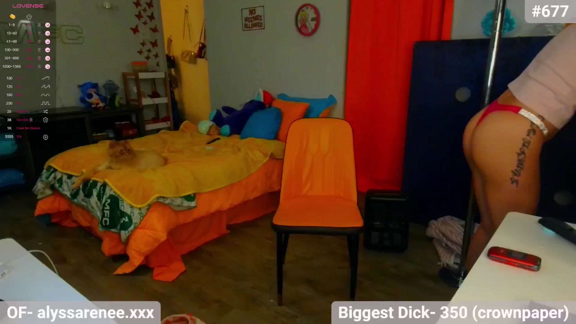 Gallery image thumbnail from Southernms's myfreecams stream on, 07/07/2024, 08:25 image 13 of 20