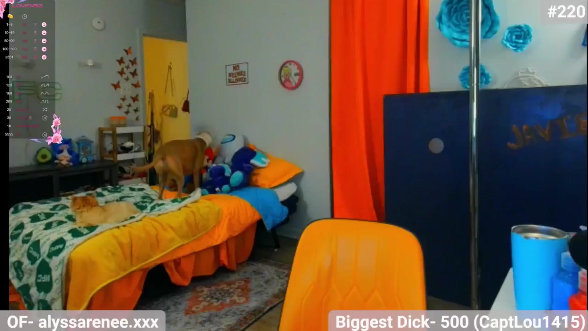Gallery image thumbnail from Southernms's myfreecams stream on, 07/14/2024, 07:33 image 15 of 20
