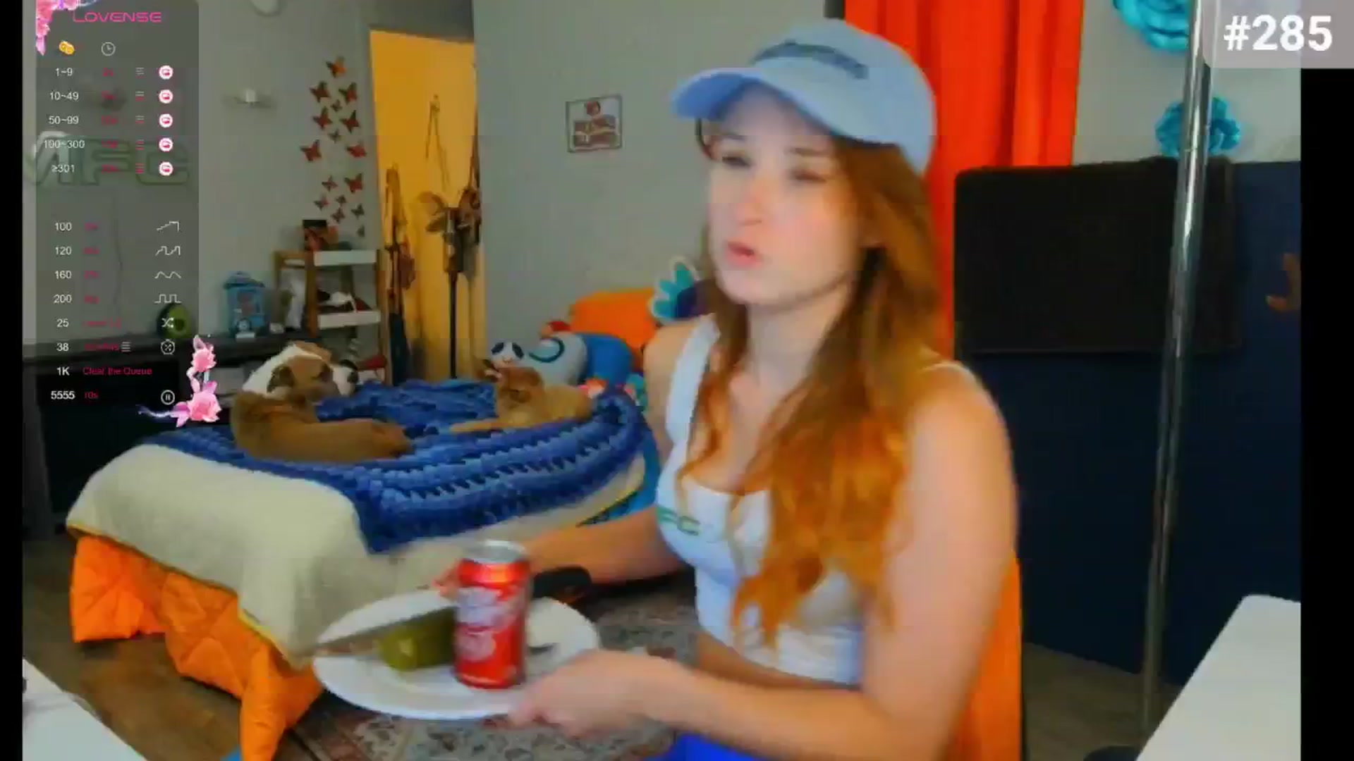 Gallery image thumbnail from Southernms's myfreecams stream on, 07/28/2024, 24:01 image 15 of 20