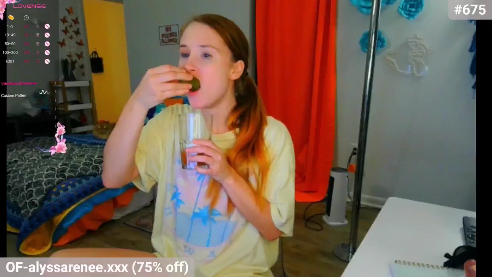Gallery image thumbnail from Southernms's myfreecams stream on, 09/02/2024, 02:54 image 12 of 20