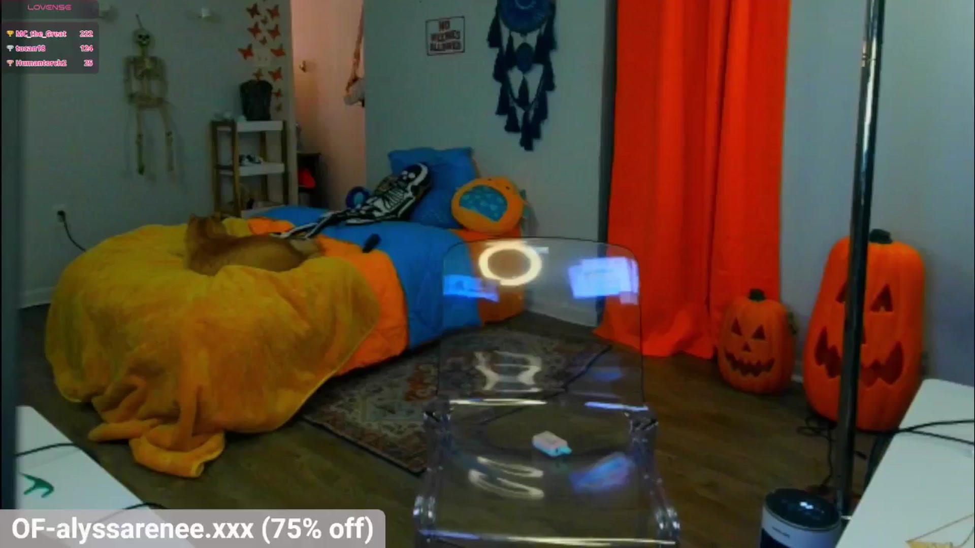 Gallery image thumbnail from Southernms's myfreecams stream on, 10/17/2024, 02:17 image 5 of 20