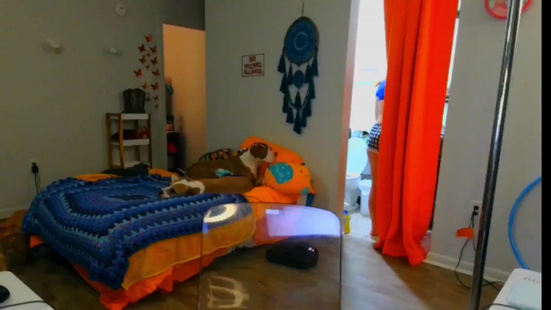 Gallery image thumbnail from Southernms's myfreecams stream on, 11/10/2024, 06:10 image 6 of 20