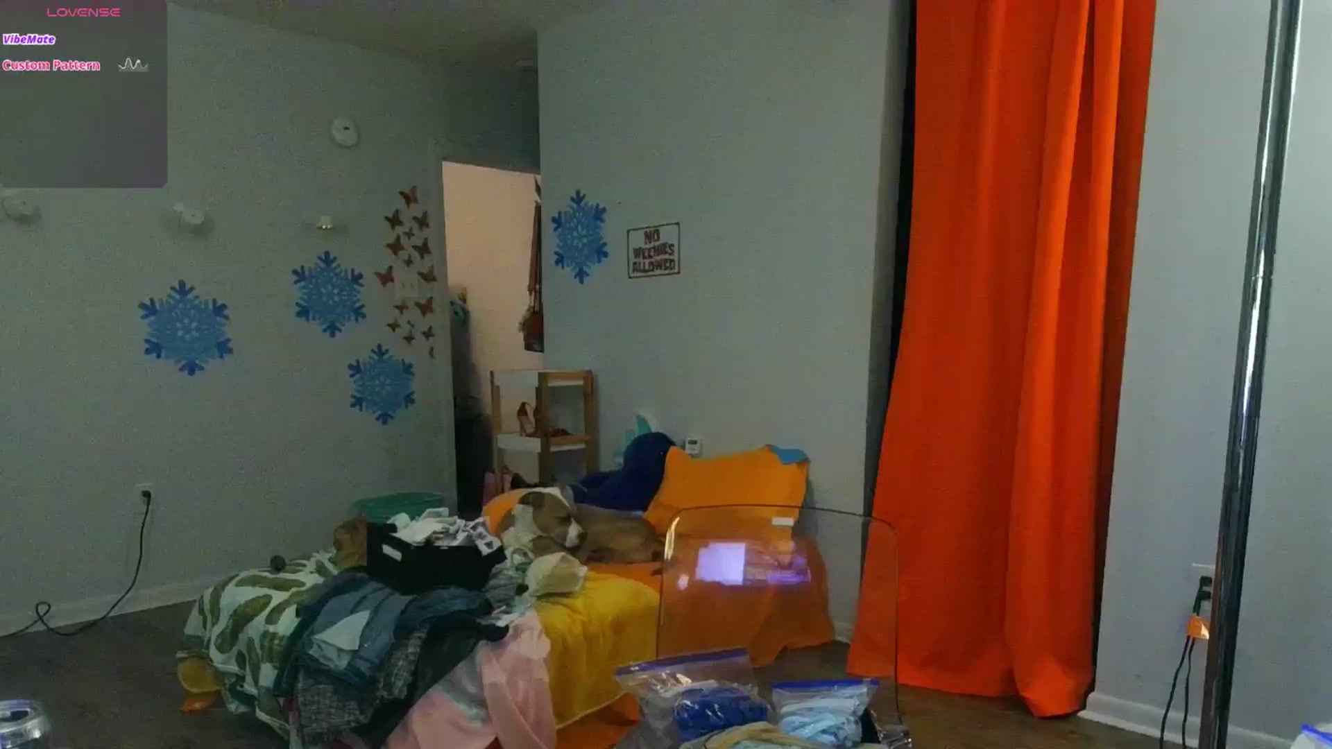 Gallery image thumbnail from Southernms's myfreecams stream on, 01/23/2025, 04:44 image 10 of 20