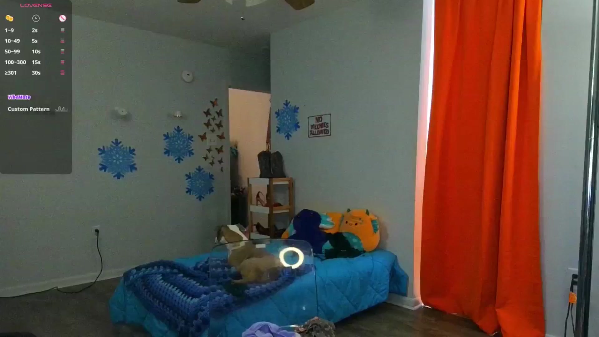 Gallery image thumbnail from Southernms's myfreecams stream on, 01/29/2025, 24:39 image 15 of 20