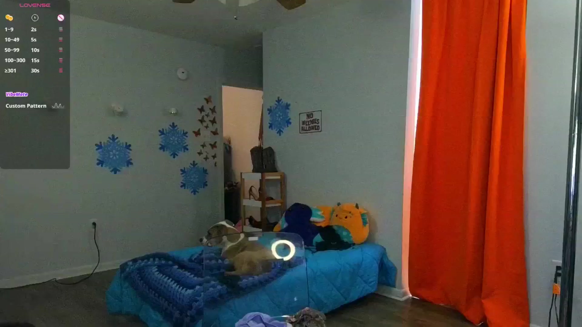 Gallery image thumbnail from Southernms's myfreecams stream on, 01/29/2025, 24:39 image 17 of 20