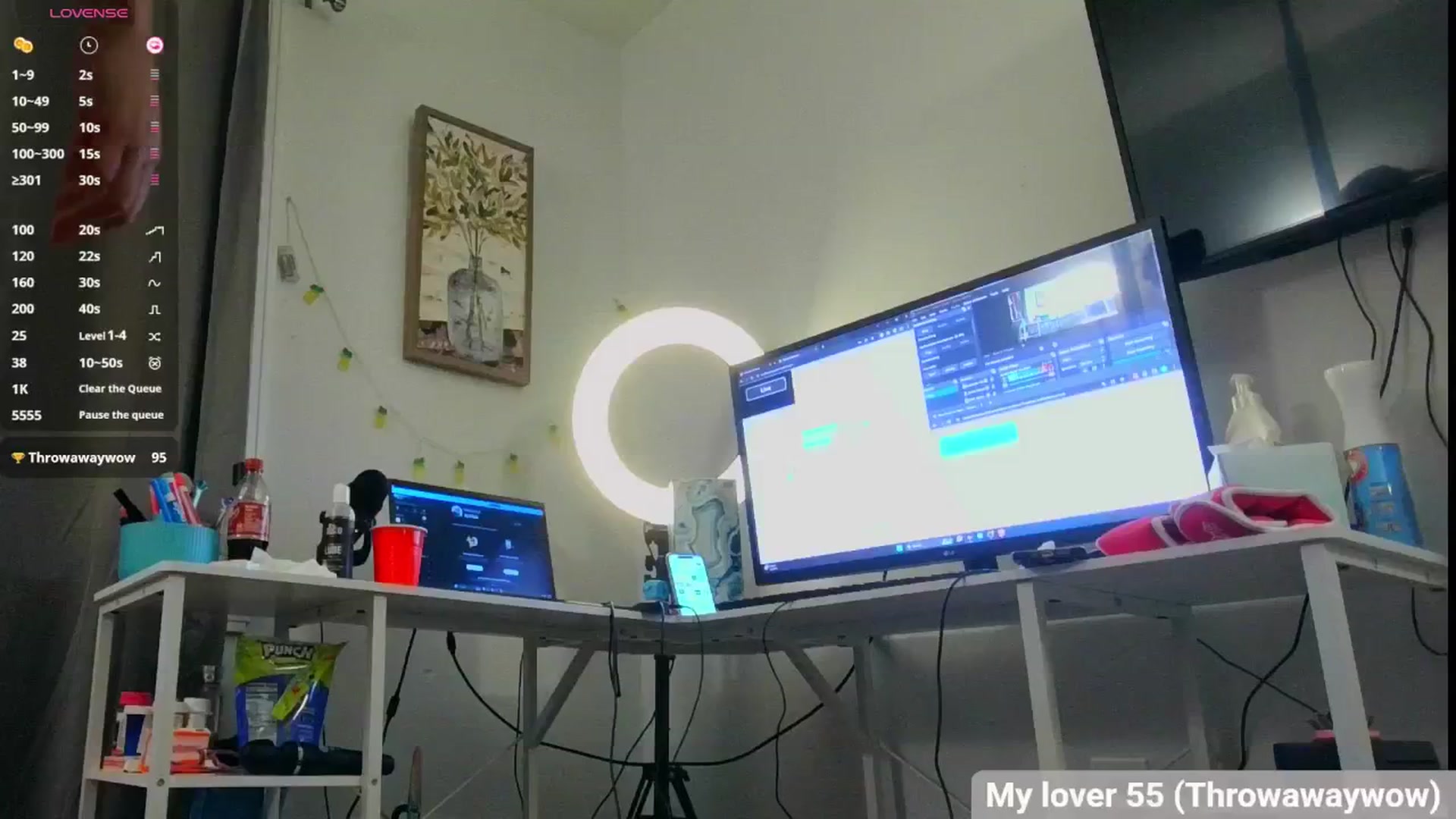 Gallery image thumbnail from Southernms's myfreecams stream on, 04/04/2025, 24:01 image 15 of 20