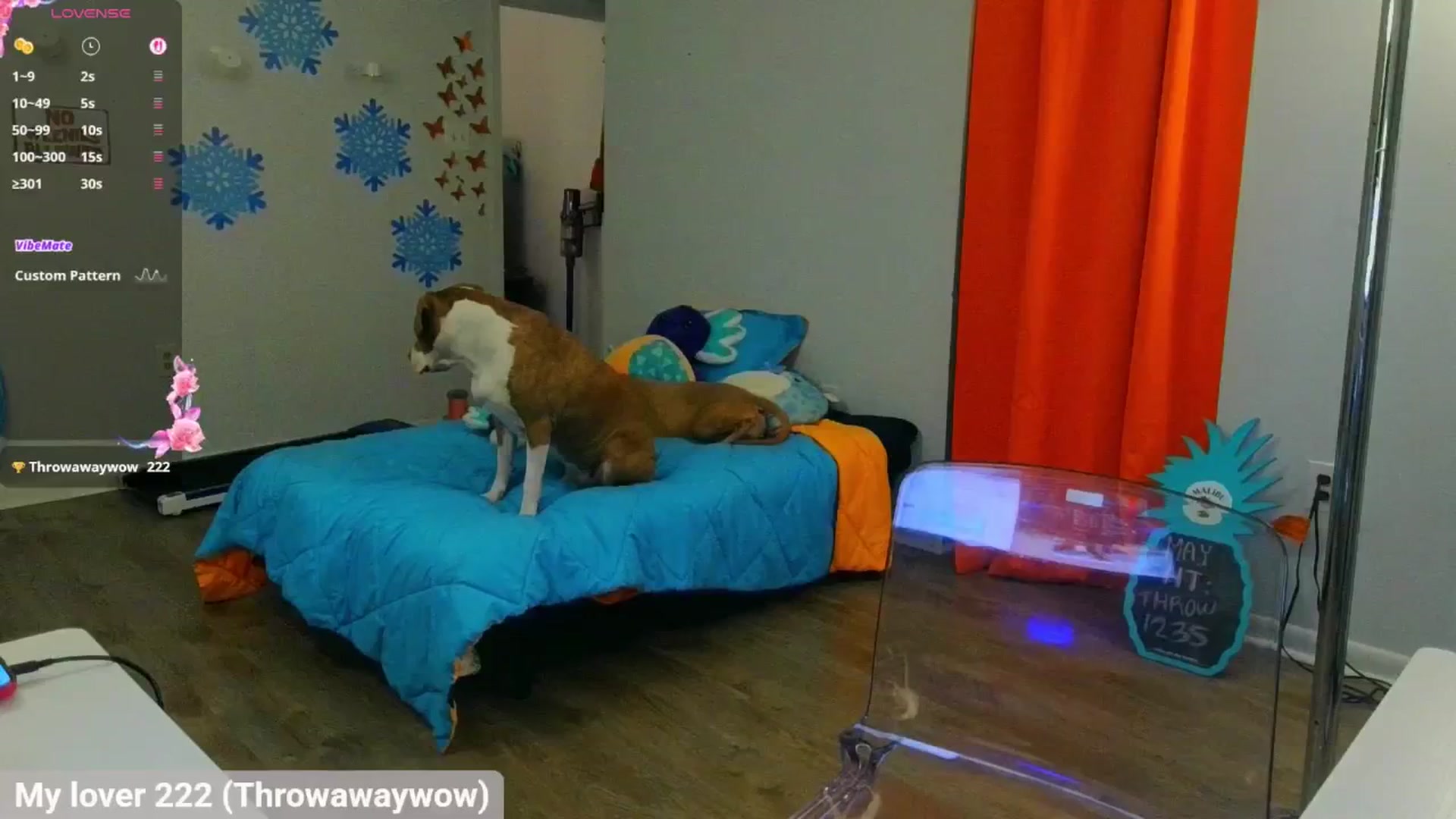 Gallery image thumbnail from Southernms's myfreecams stream on, 05/08/2025, 03:24 image 12 of 20