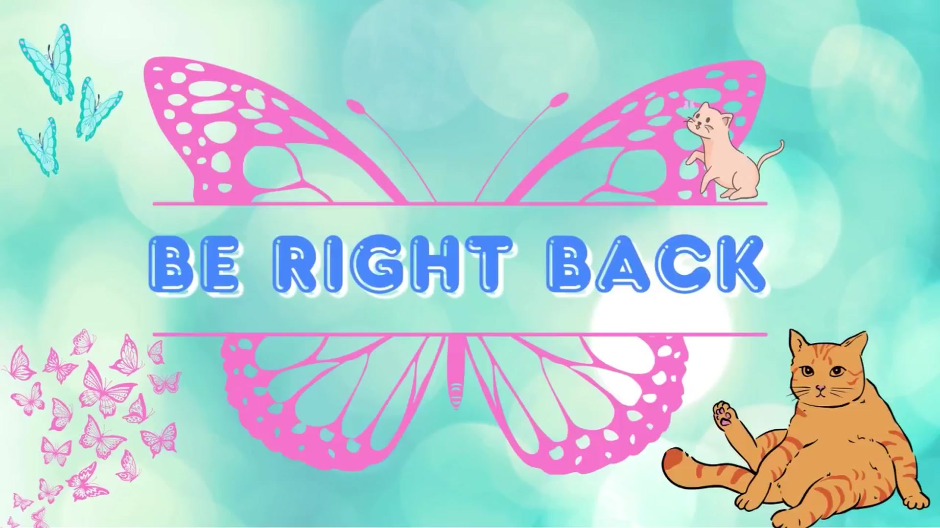 Gallery image thumbnail from Southernms's myfreecams stream on, 05/20/2025, 23:44 image 10 of 20