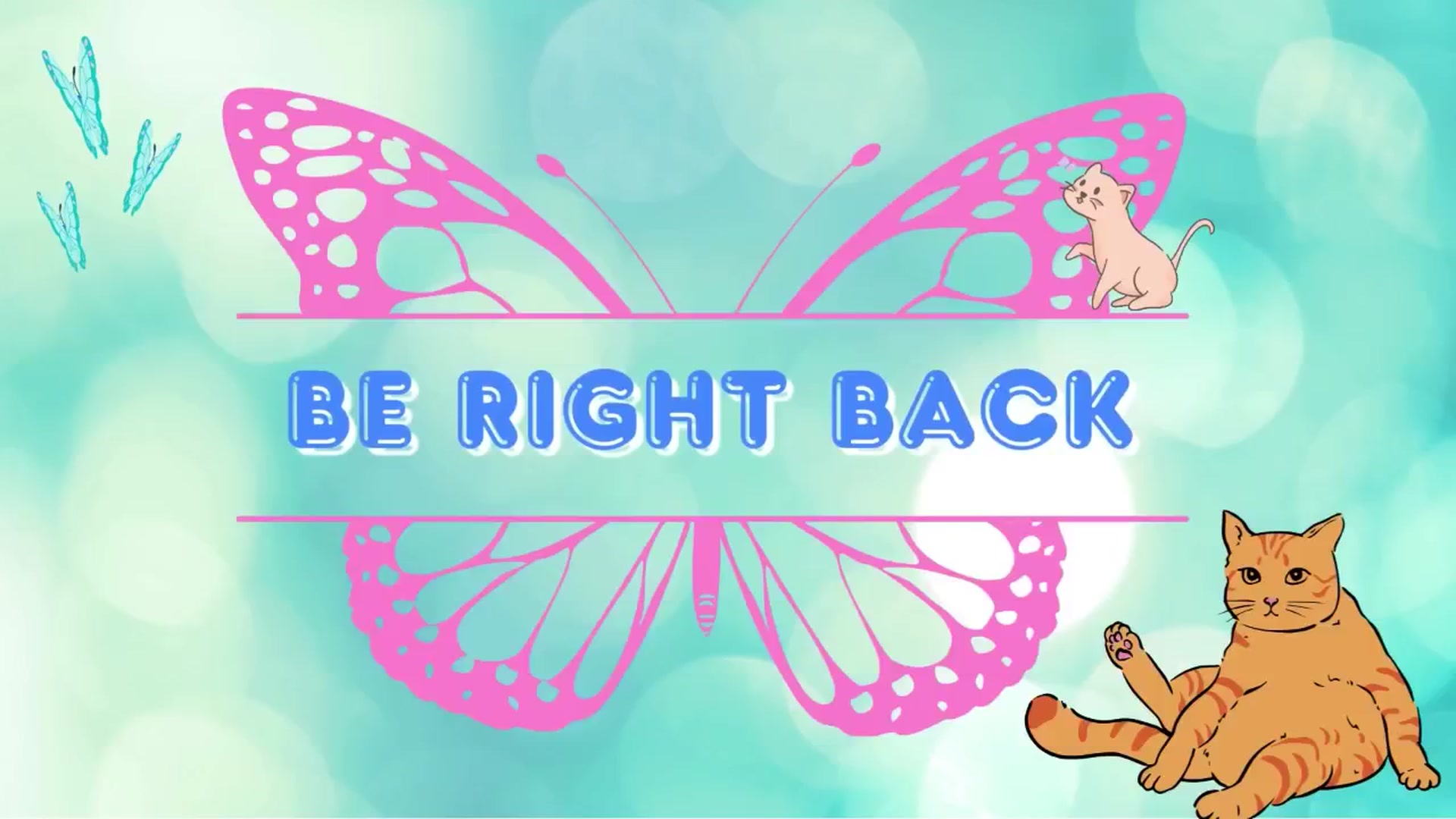 Gallery image thumbnail from Southernms's myfreecams stream on, 05/29/2025, 02:43 image 17 of 20
