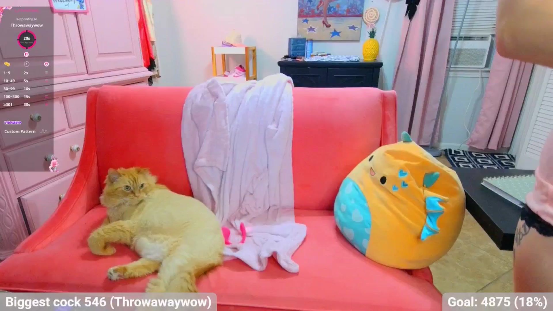 Gallery image thumbnail from Southernms's myfreecams stream on, 06/30/2025, 03:44 image 7 of 20