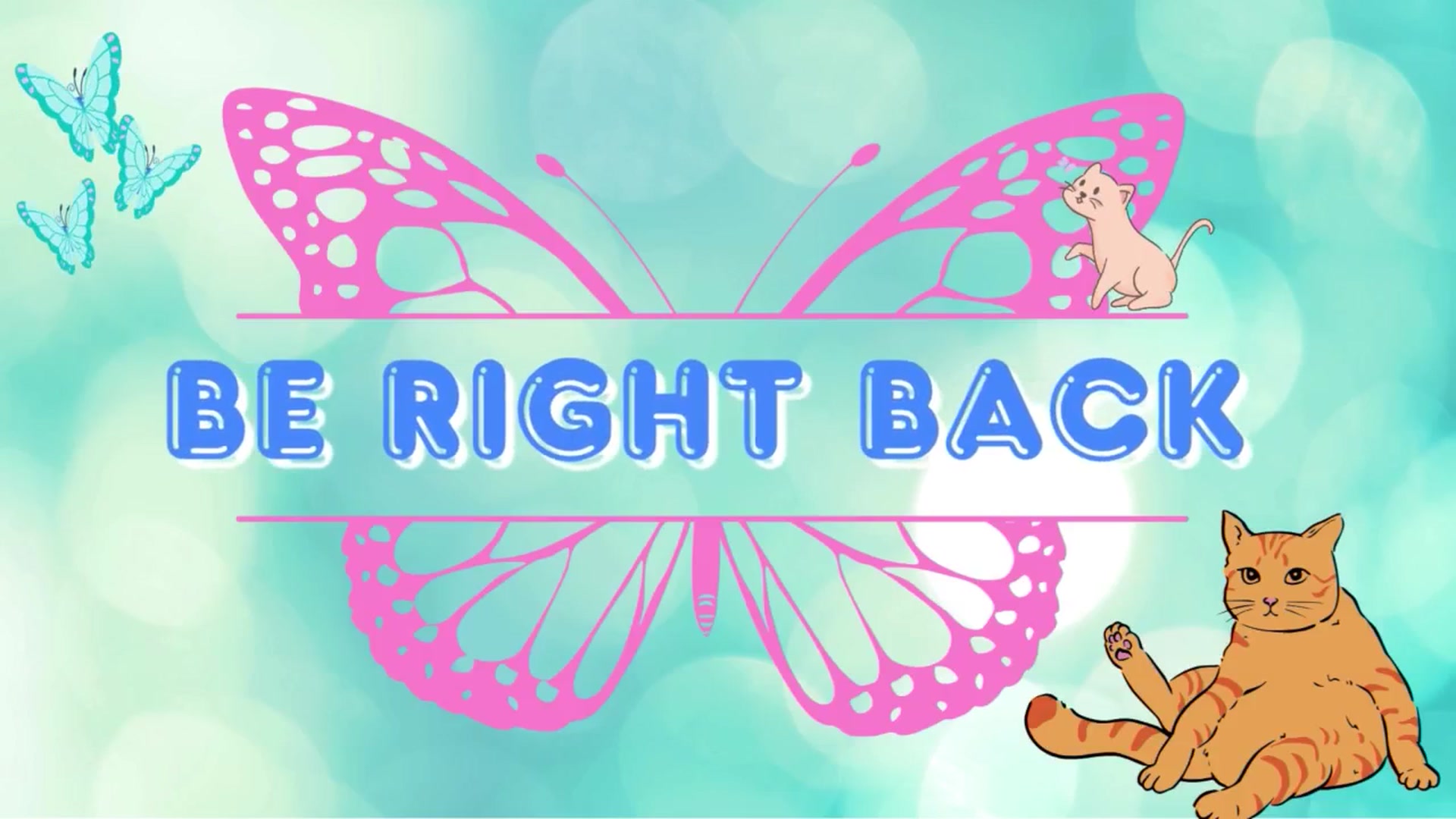 Gallery image thumbnail from Southernms's myfreecams stream on, 07/24/2025, 21:24 image 15 of 20