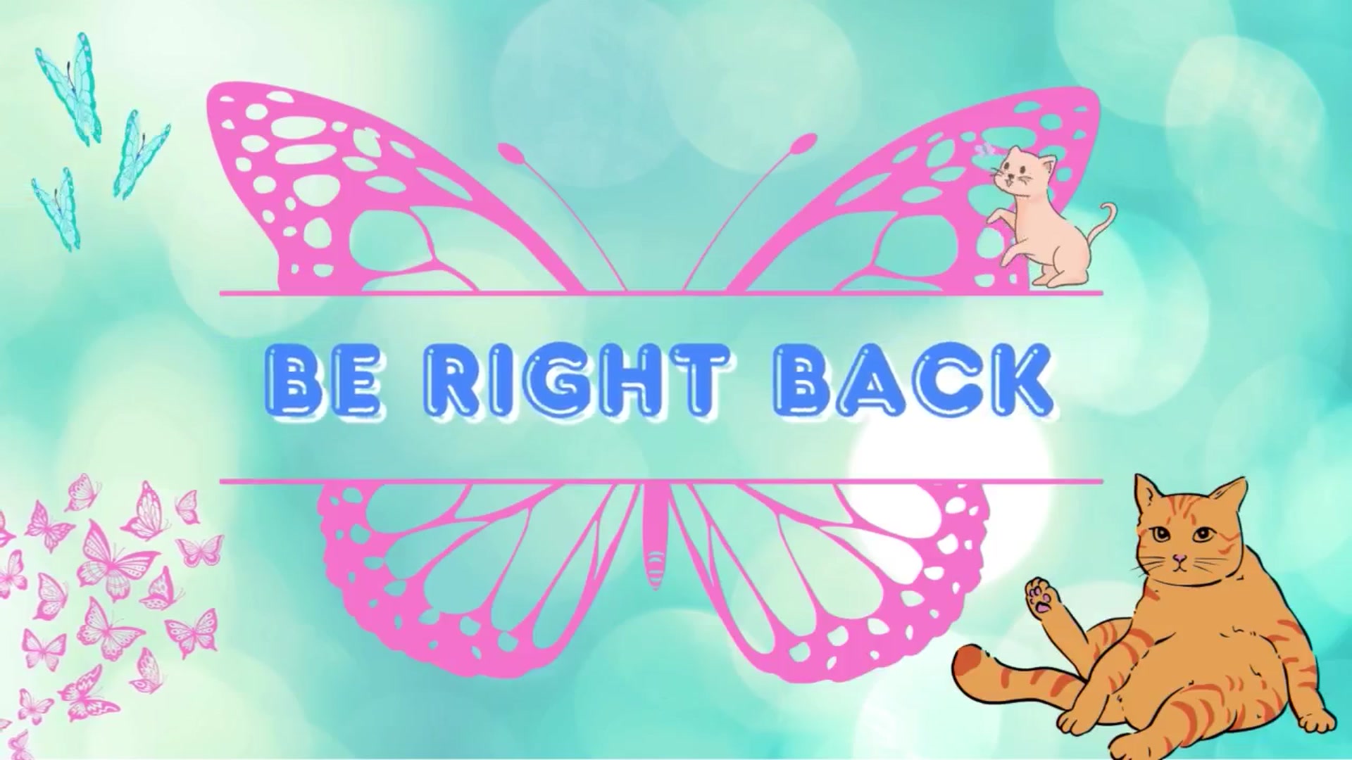 Gallery image thumbnail from Southernms's myfreecams stream on, 08/08/2025, 02:35 image 9 of 20