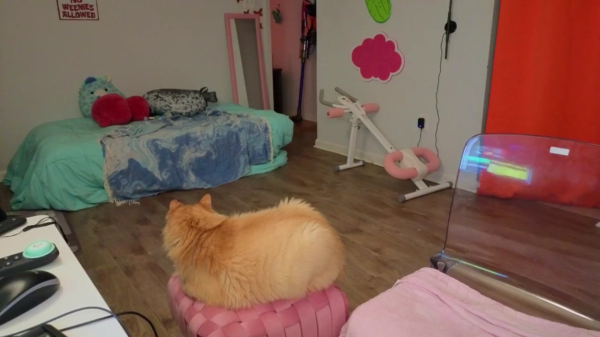 Gallery image thumbnail from Southernms's myfreecams stream on, 09/04/2025, 02:53 image 2 of 20