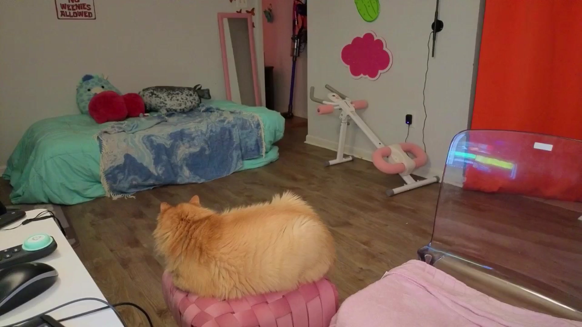 Gallery image thumbnail from Southernms's myfreecams stream on, 09/04/2025, 02:53 image 3 of 20