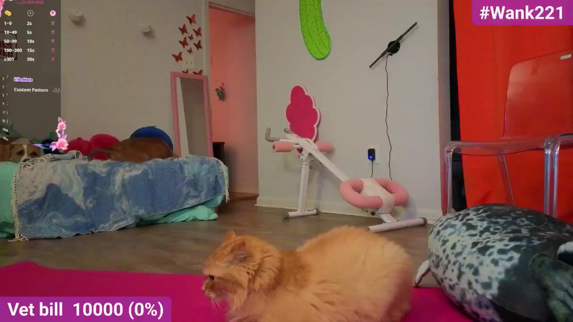 Gallery image thumbnail from Southernms's myfreecams stream on, 09/11/2025, 02:02 image 2 of 20