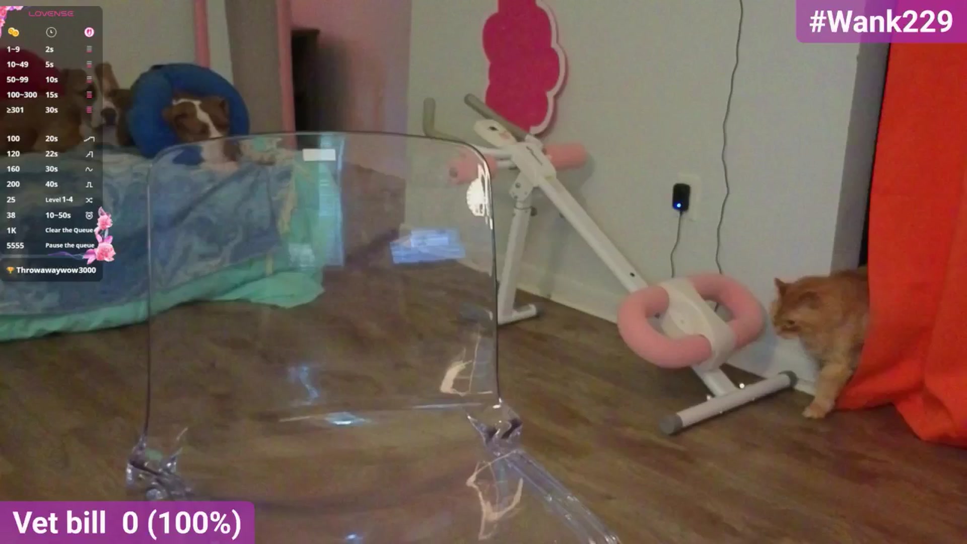 Gallery image thumbnail from Southernms's myfreecams stream on, 09/12/2025, 20:26 image 1 of 20