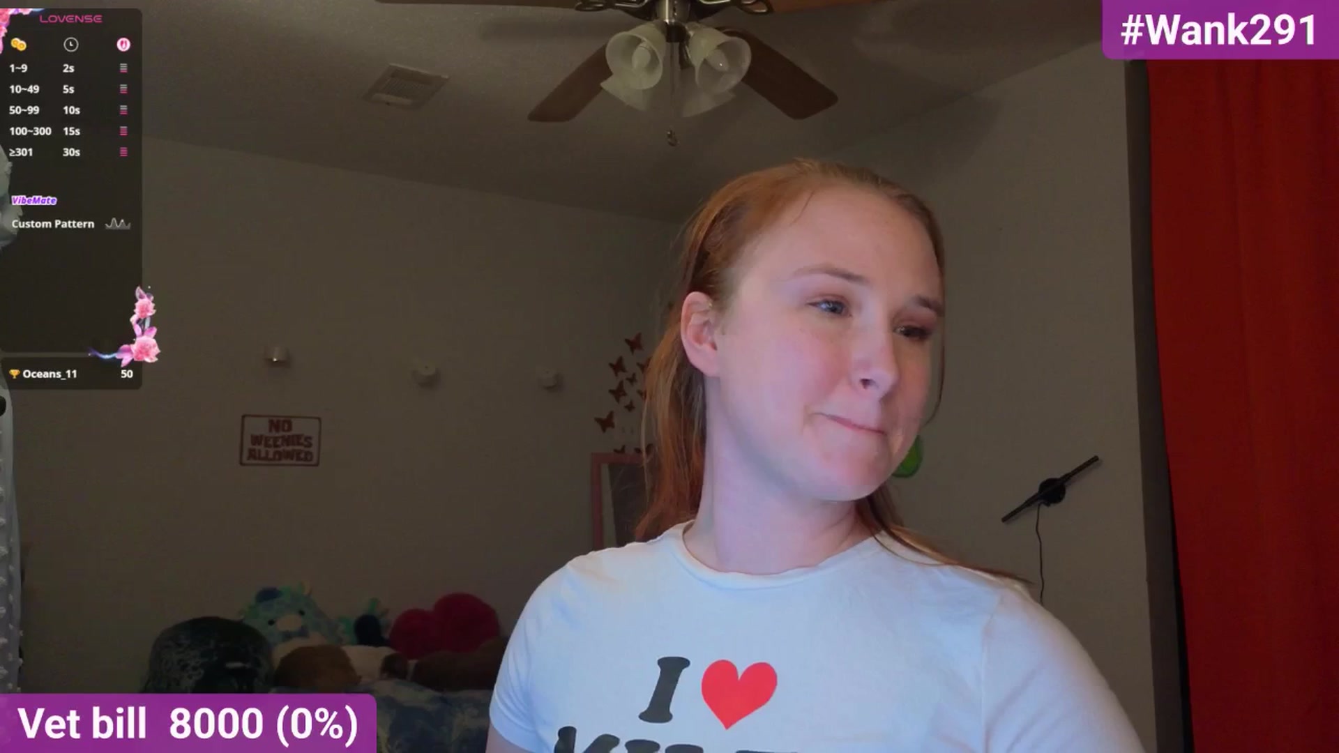 Gallery image thumbnail from Southernms's myfreecams stream on, 09/15/2025, 02:24 image 10 of 20