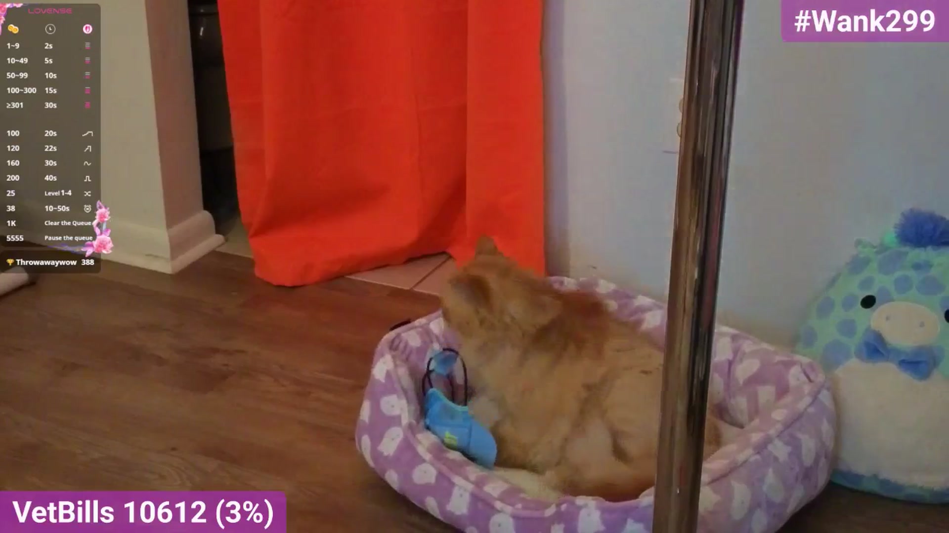 Gallery image thumbnail from Southernms's myfreecams stream on, 09/20/2025, 04:19 image 3 of 20