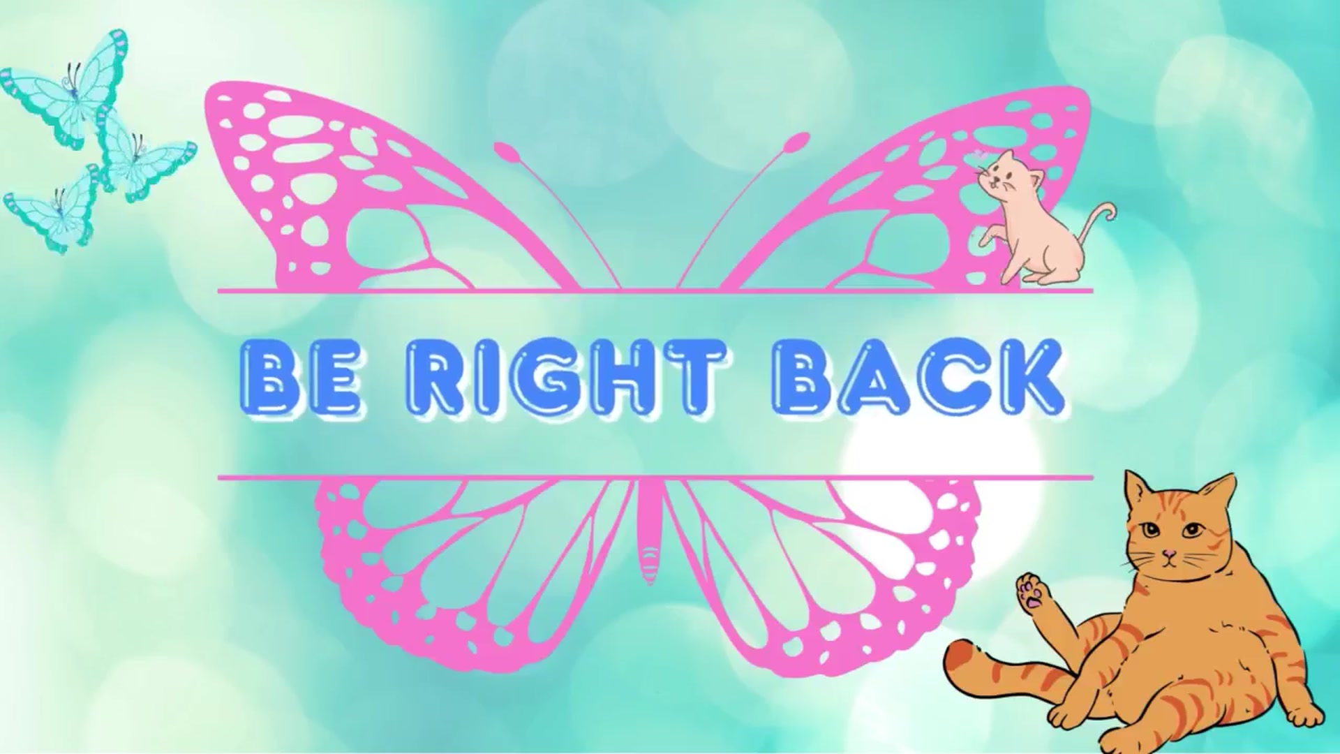 Gallery image thumbnail from Southernms's myfreecams stream on, 10/08/2025, 04:37 image 2 of 20