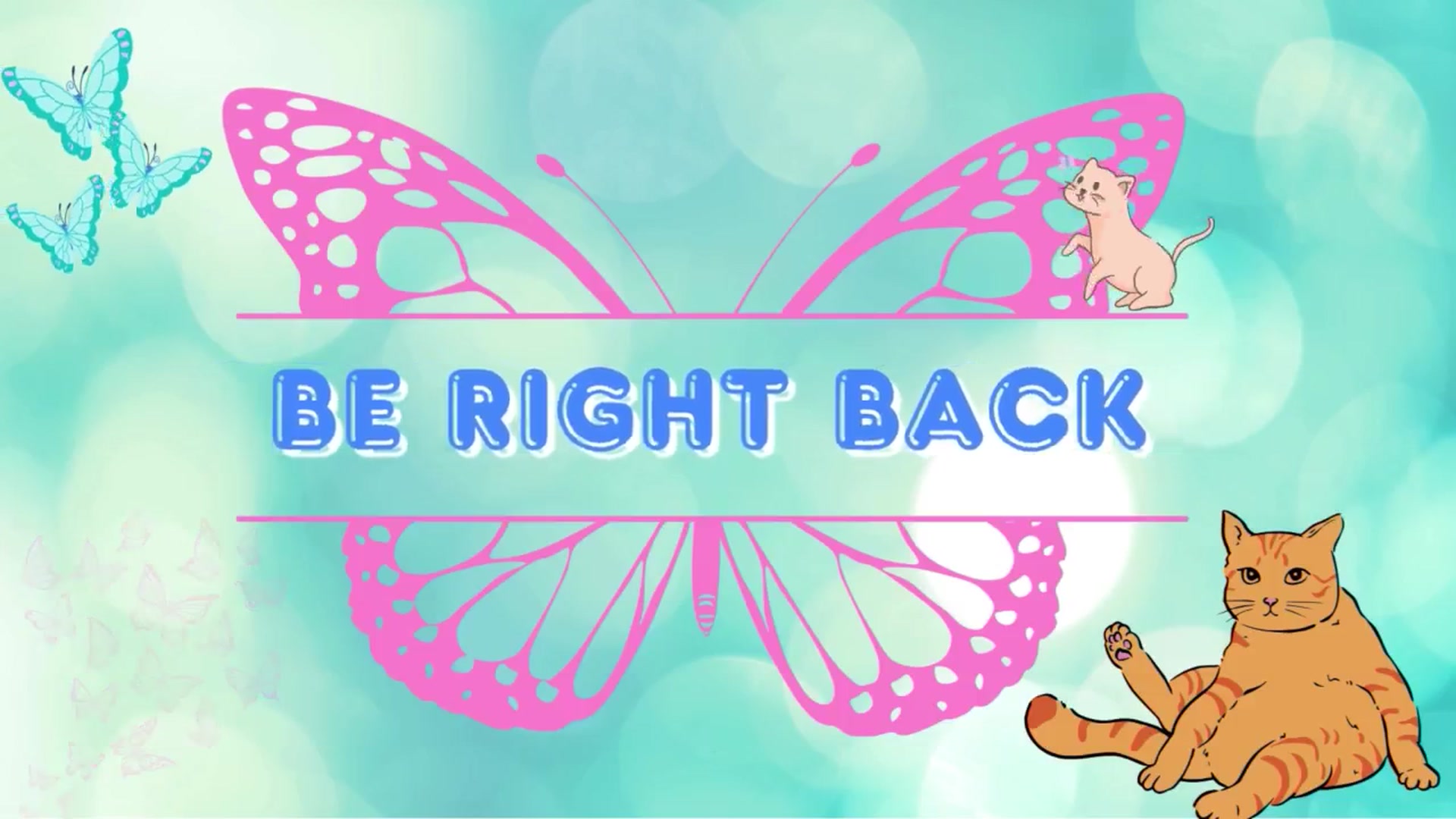 Gallery image thumbnail from Southernms's myfreecams stream on, 10/09/2025, 24:01 image 9 of 20