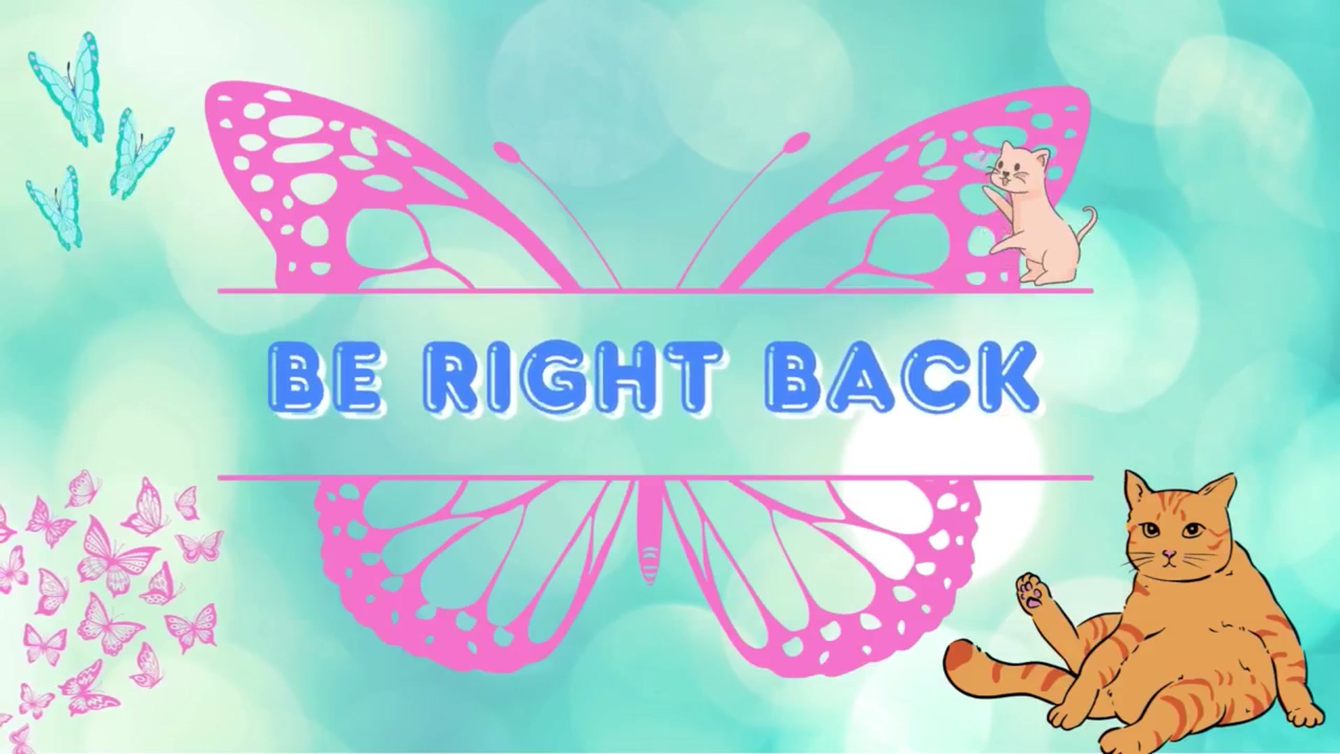 Gallery image thumbnail from Southernms's myfreecams stream on, 10/17/2025, 04:18 image 8 of 20