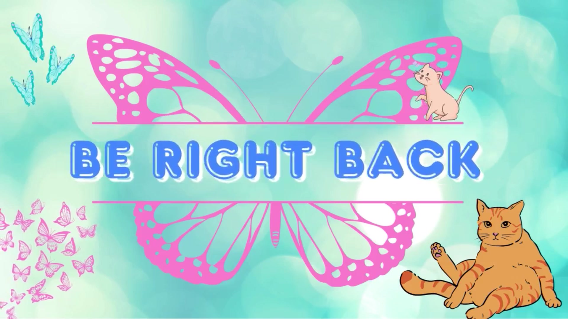 Gallery image thumbnail from Southernms's myfreecams stream on, 10/27/2025, 02:27 image 13 of 20