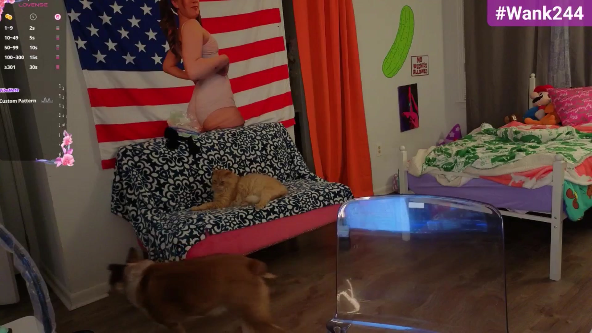 Gallery image thumbnail from Southernms's myfreecams stream on, 11/07/2025, 04:18 image 2 of 20