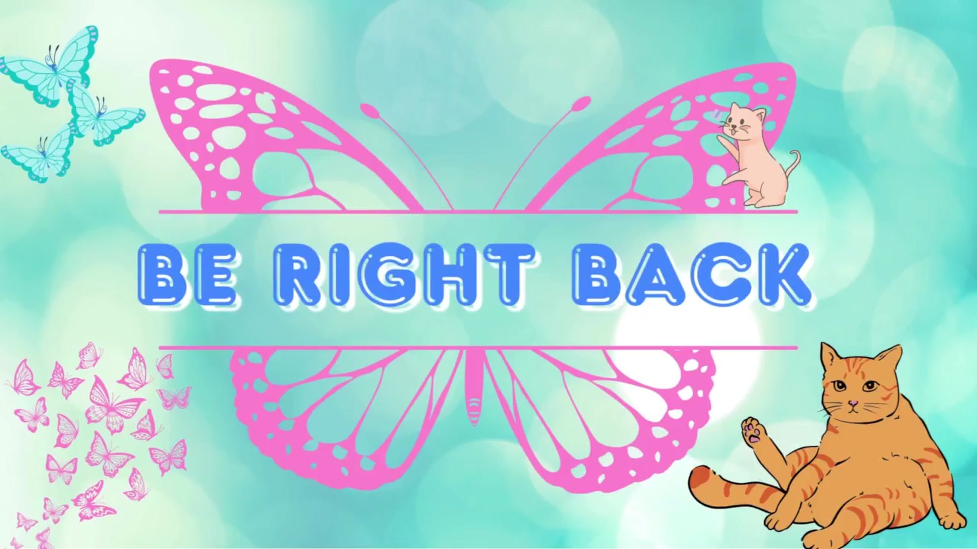 Gallery image thumbnail from Southernms's myfreecams stream on, 12/10/2025, 08:47 image 11 of 20