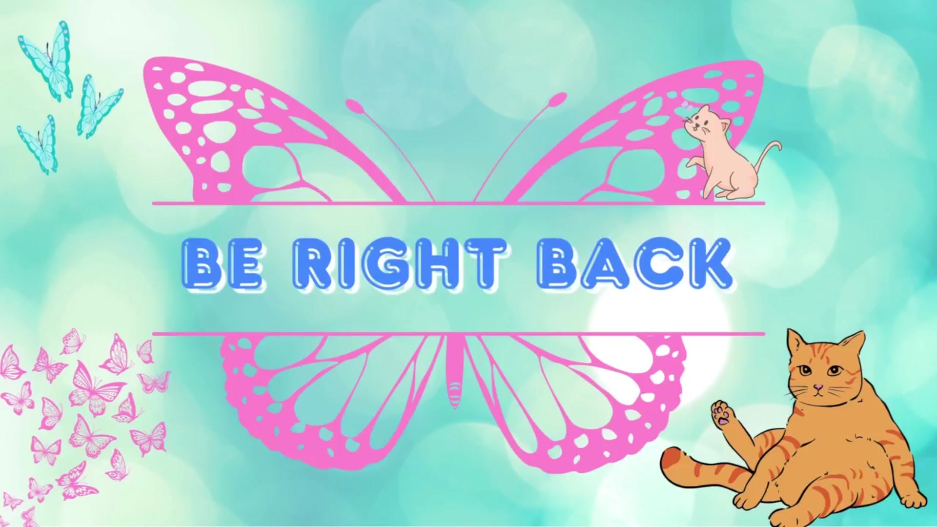 Gallery image thumbnail from Southernms's myfreecams stream on, 01/21/2026, 05:04 image 17 of 20