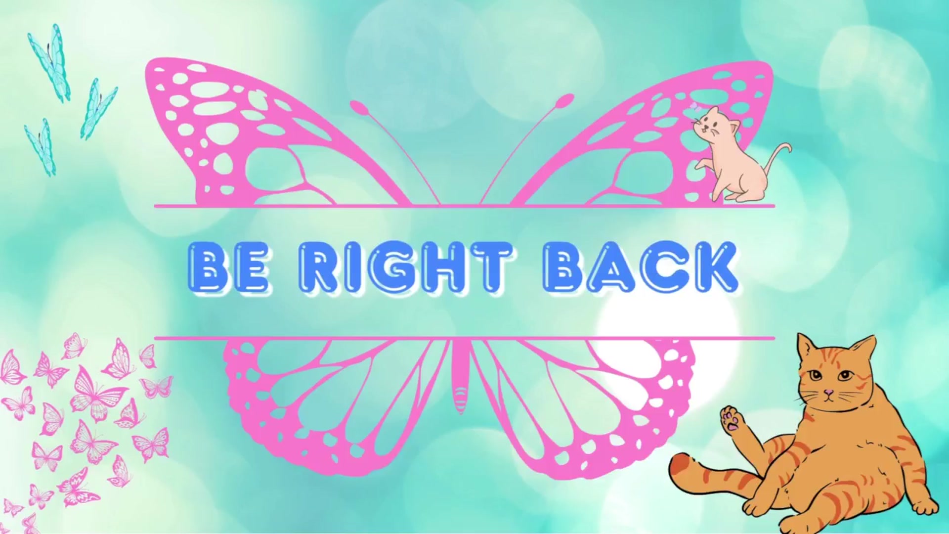 Gallery image thumbnail from Southernms's myfreecams stream on, 02/05/2026, 05:14 image 13 of 20