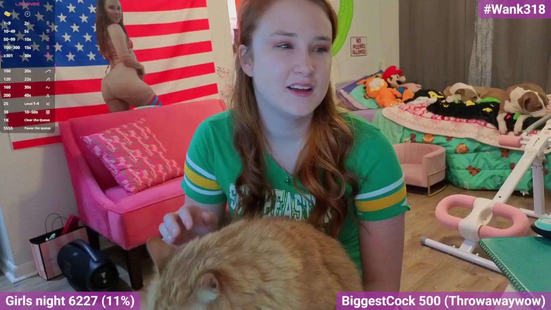 Gallery image thumbnail from Southernms's myfreecams stream on, 02/09/2026, 04:26 image 12 of 20