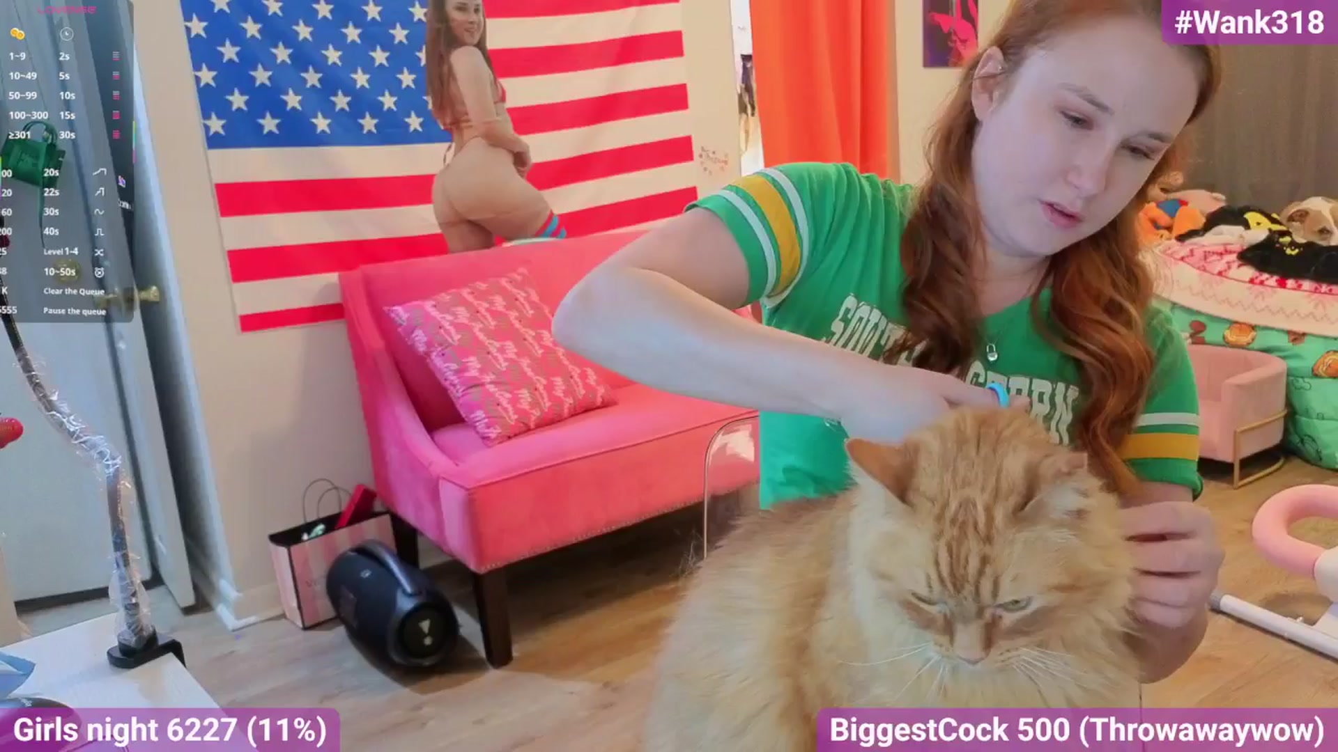 Gallery image thumbnail from Southernms's myfreecams stream on, 02/09/2026, 04:26 image 13 of 20
