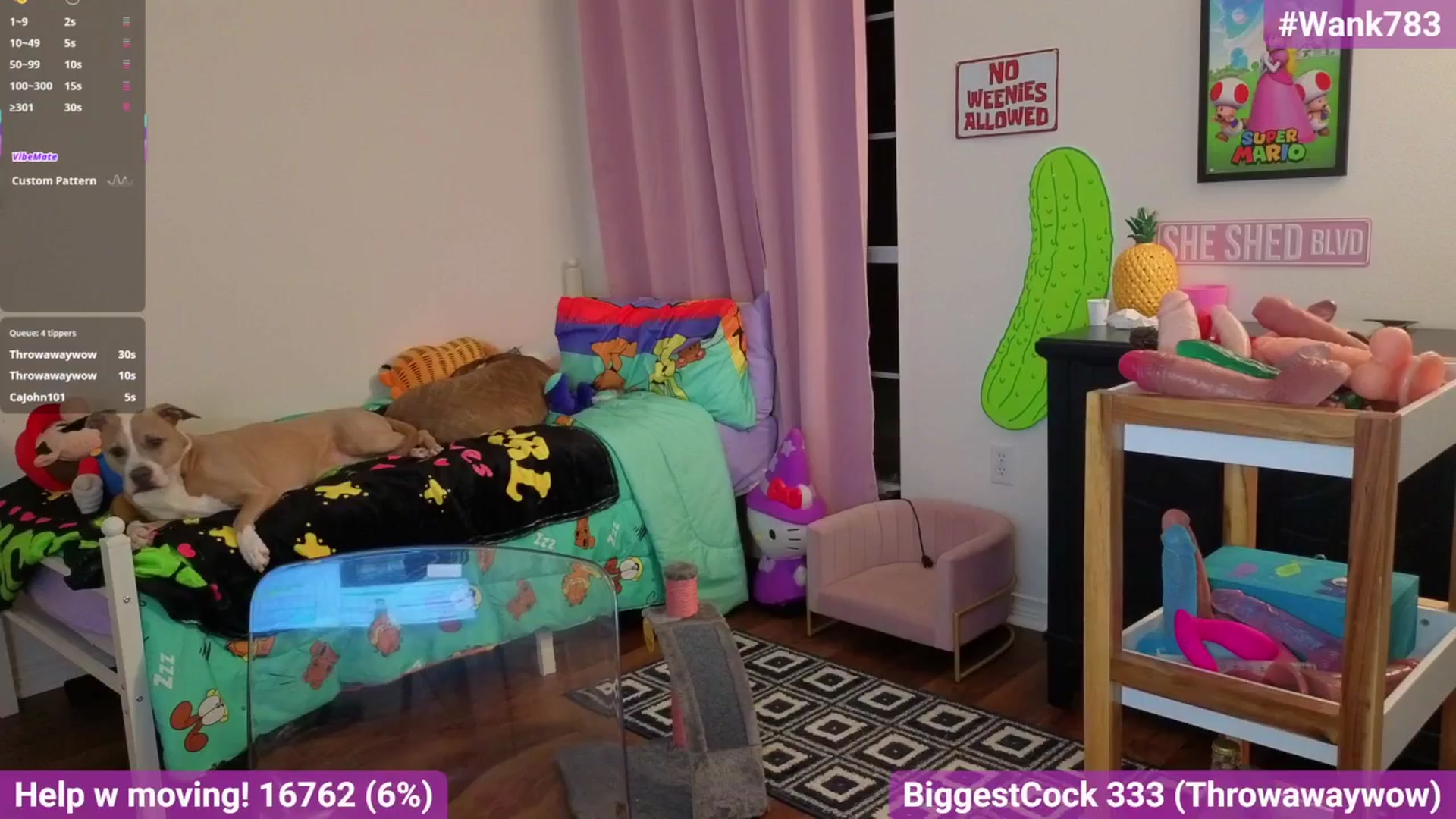 Gallery image thumbnail from Southernms's myfreecams stream on, 02/22/2026, 03:17 image 16 of 20